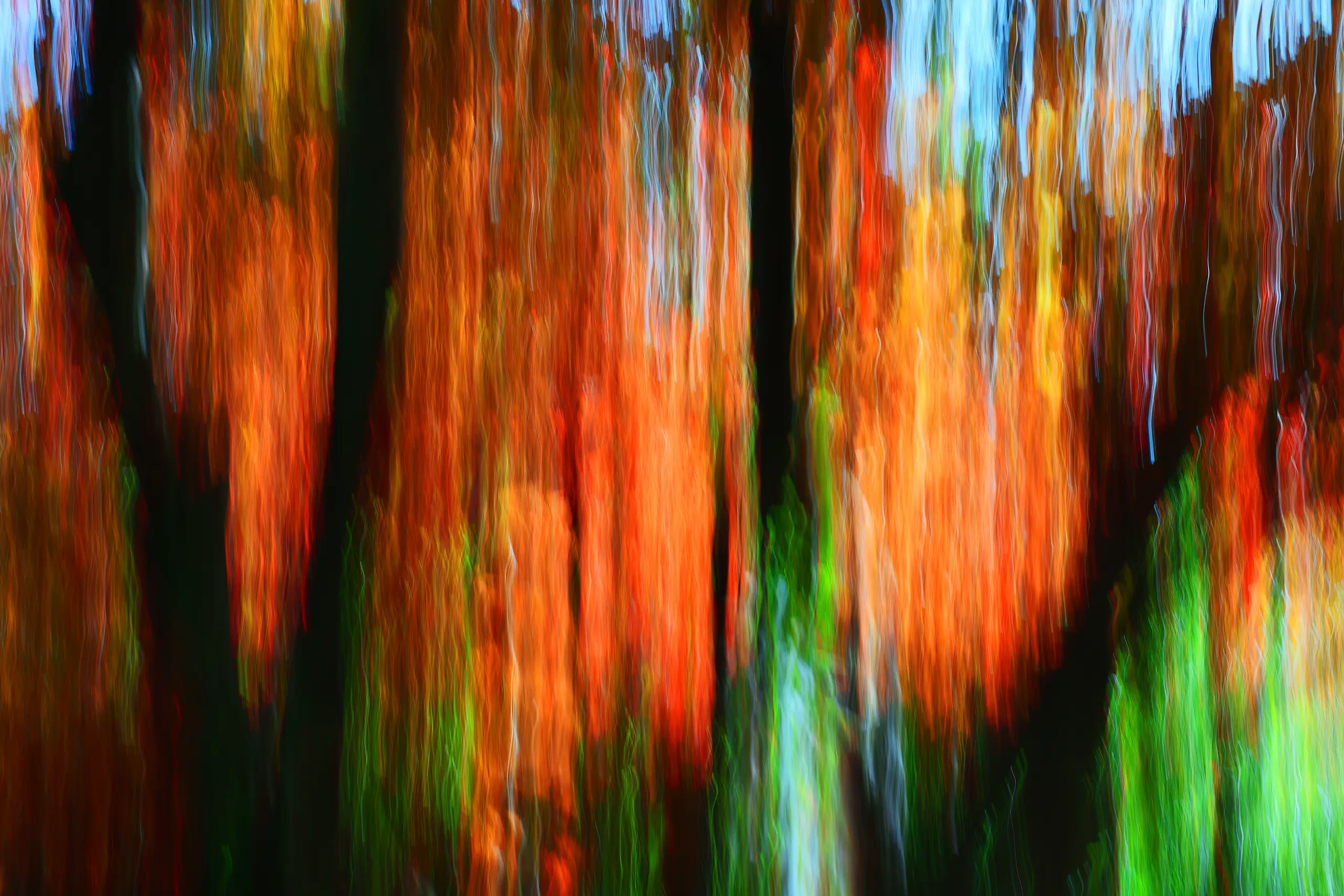 Autumn Blush Wall Art