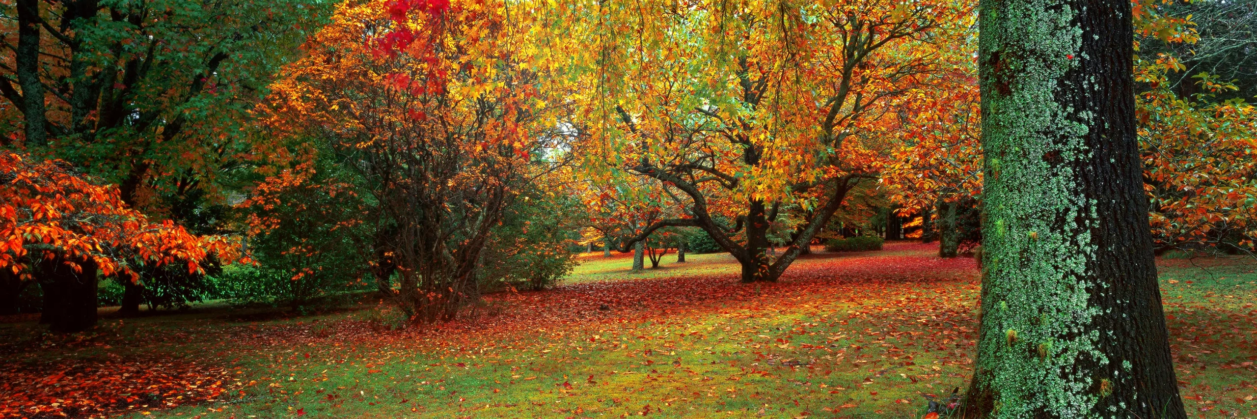 Autumn Botanica Wall Art