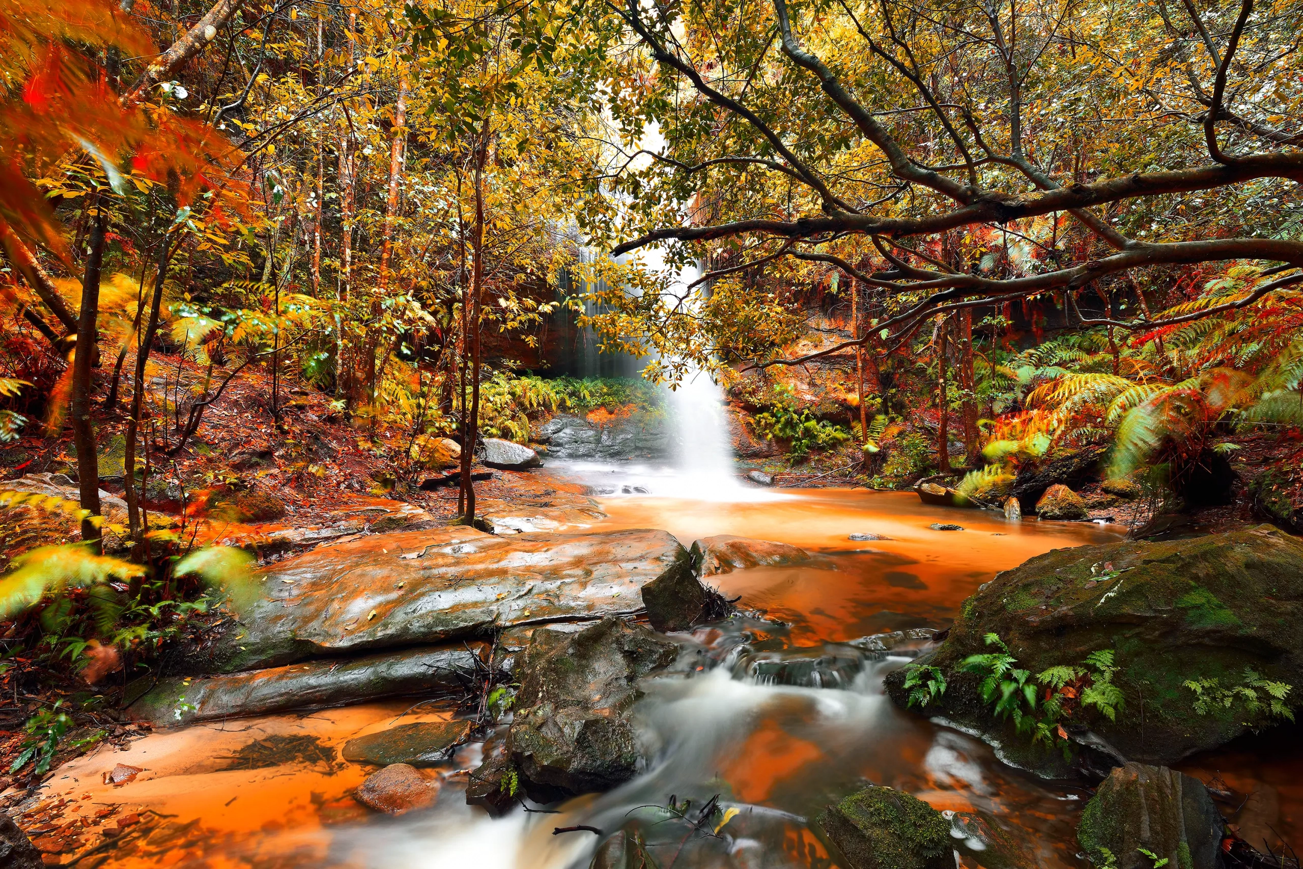 Autumn Falls Wall Art