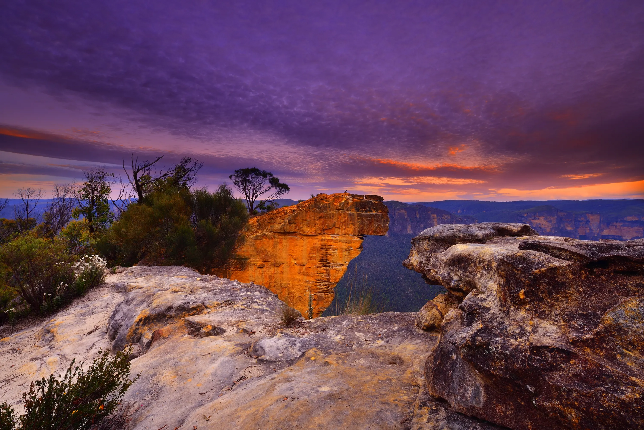 Cliff Hanger Wall Art