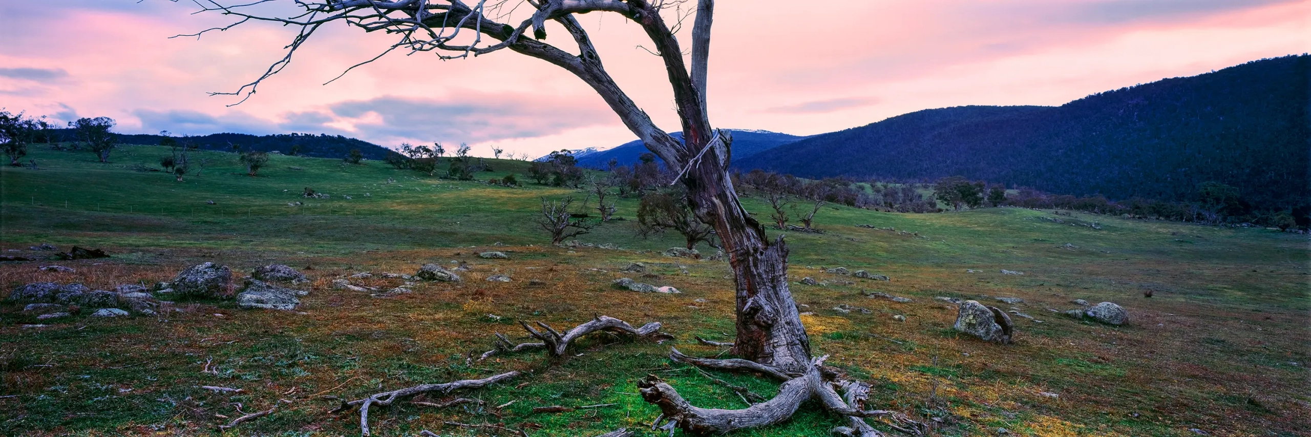 Deadwood Jindabyne Wall Art