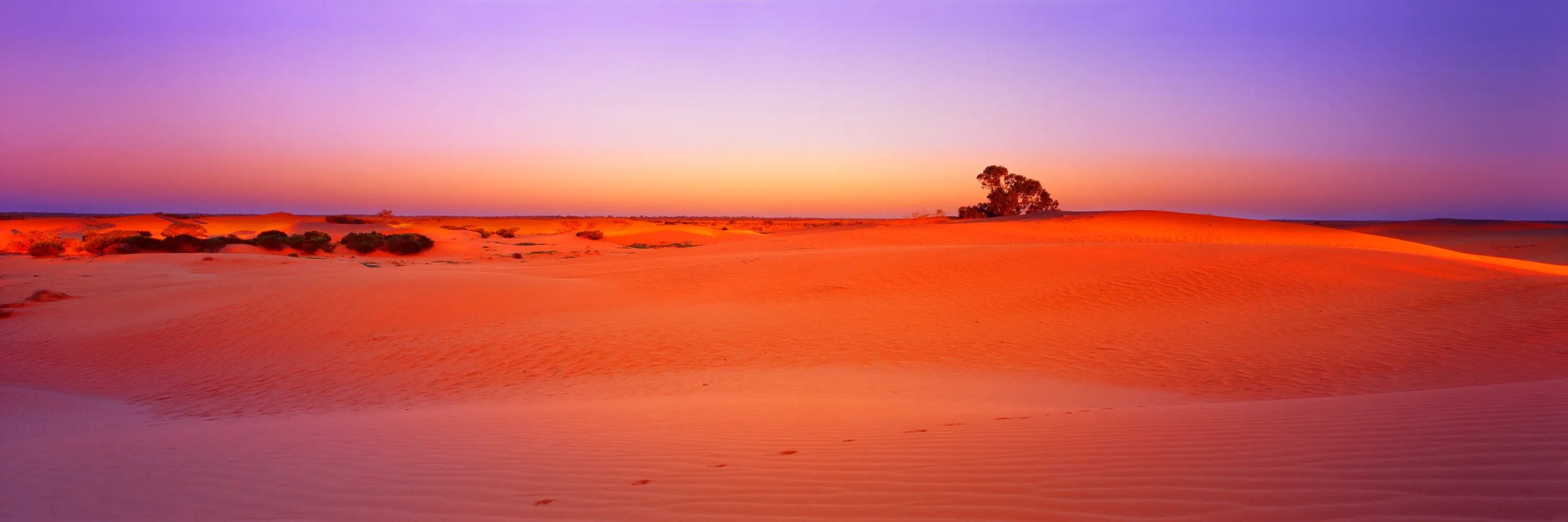Desert Dunes Wall Art