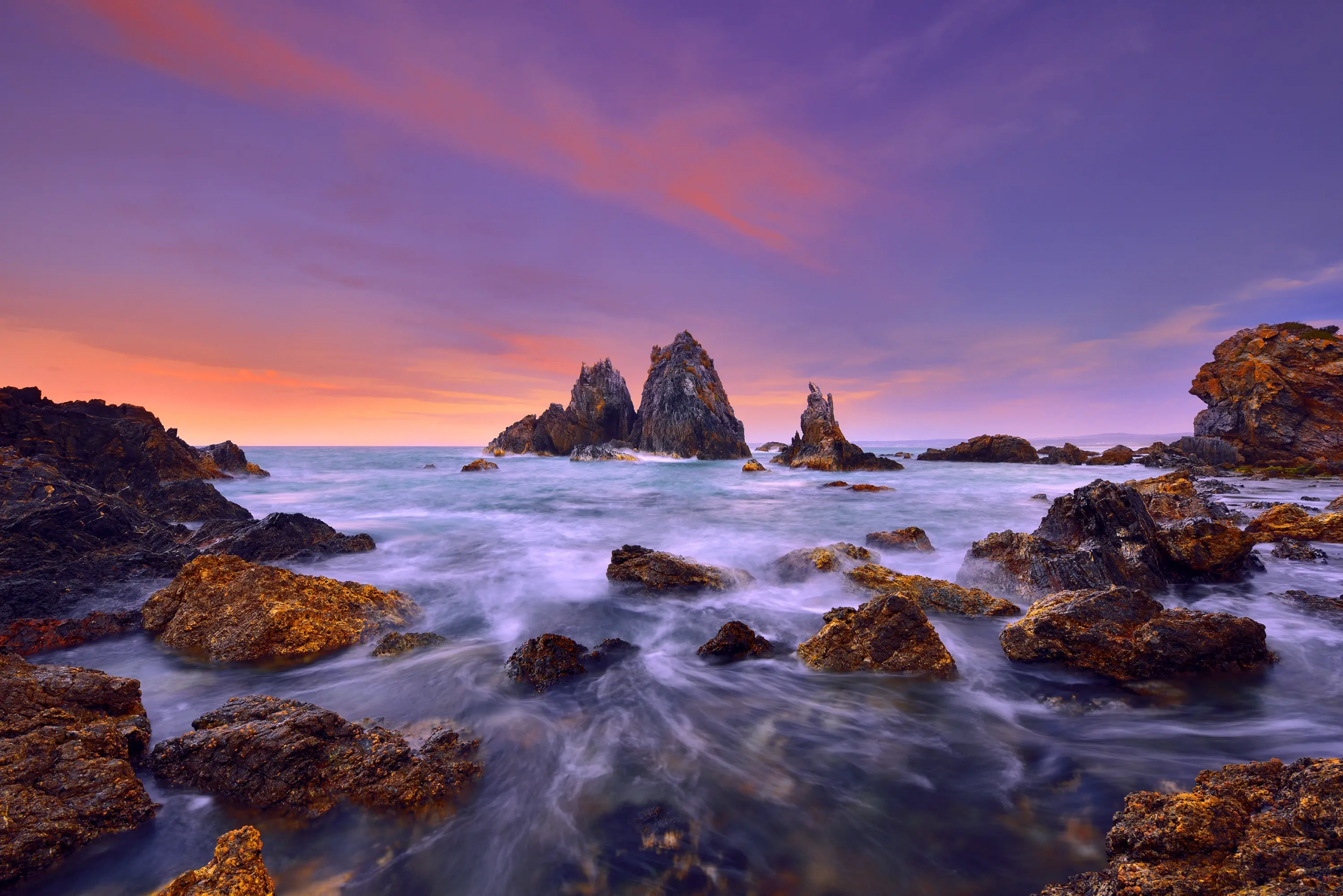 Enchanted Sea Wall Art