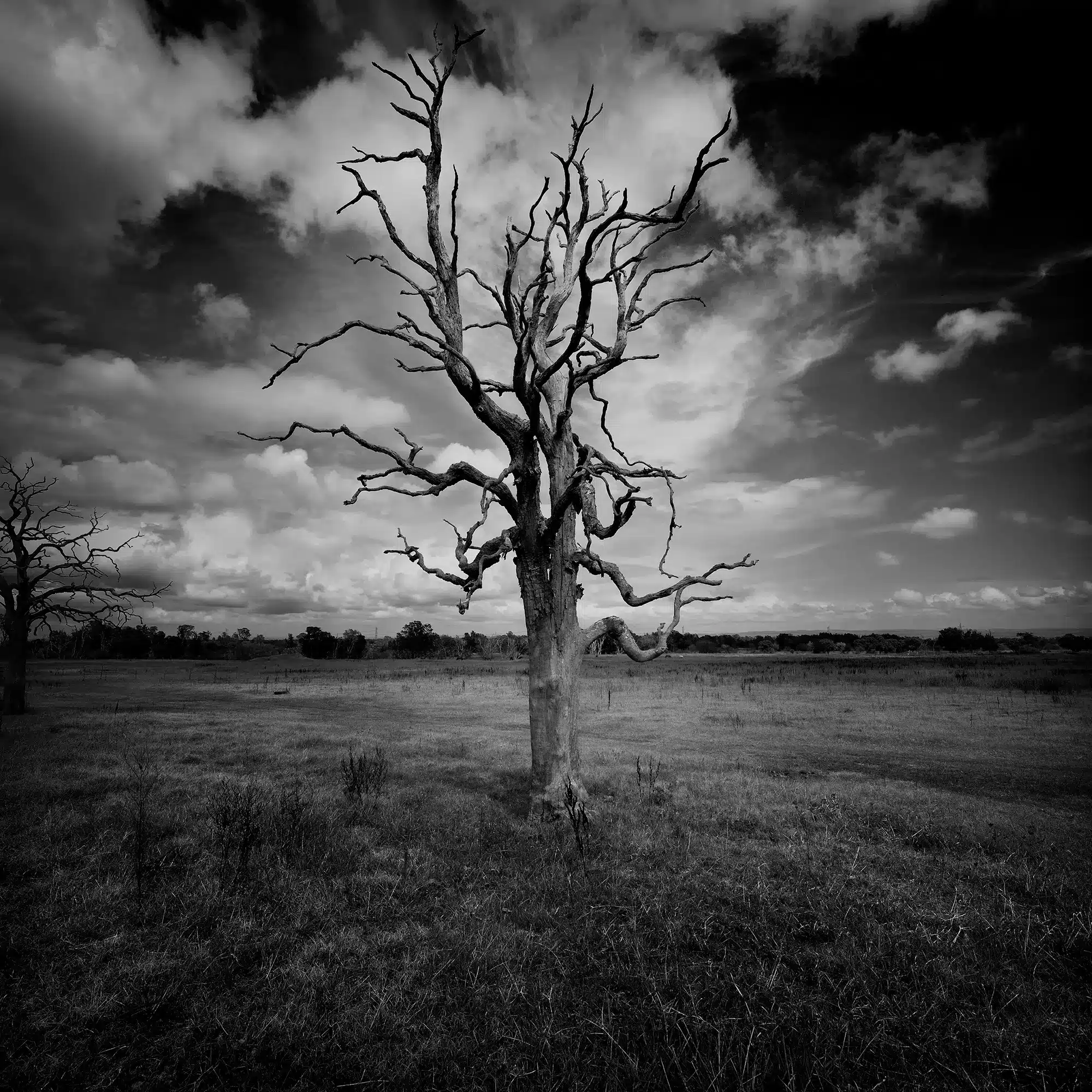 Fade To Black Wall Art