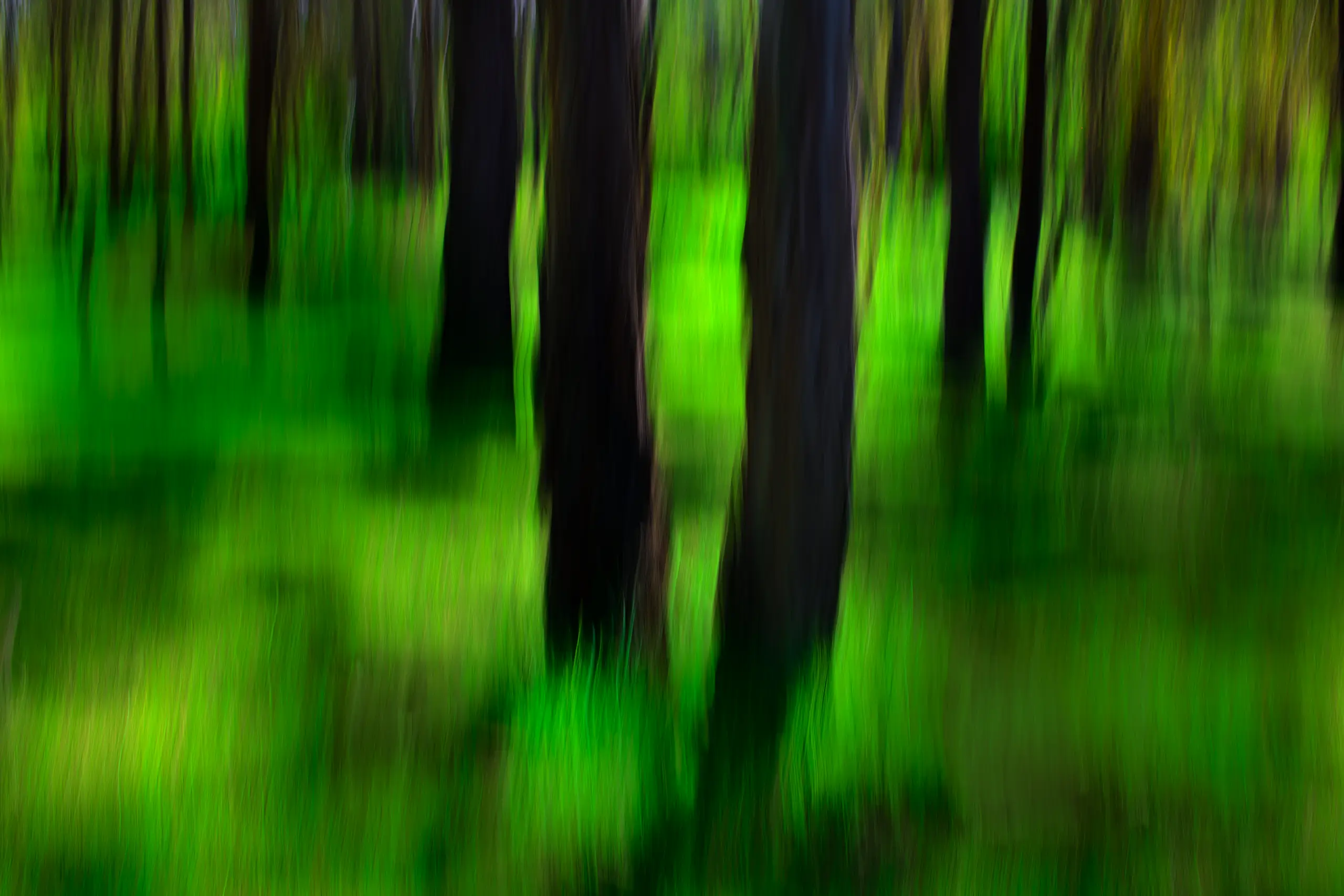 Forever Green Wall Art