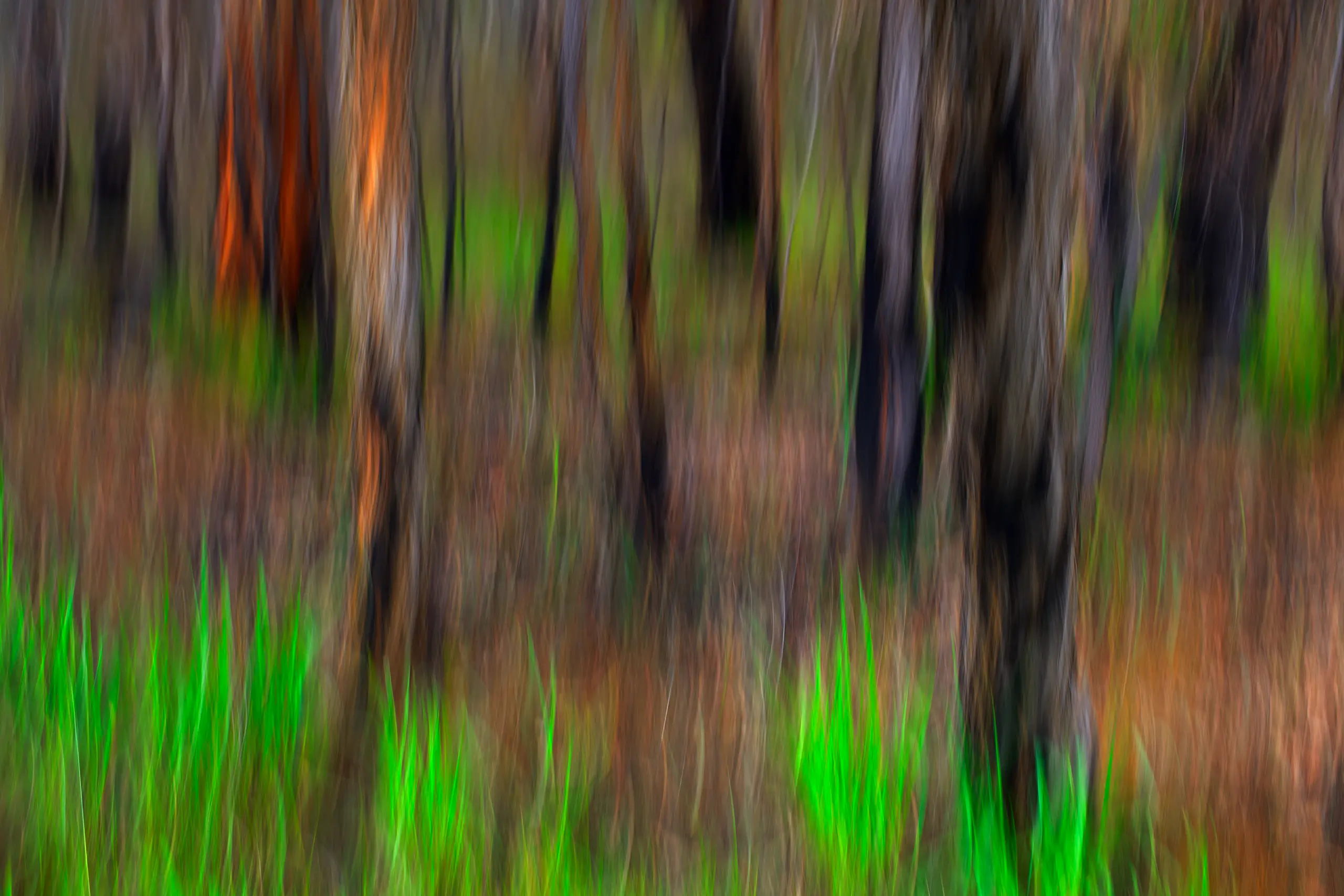 Grass Tree Wall Art