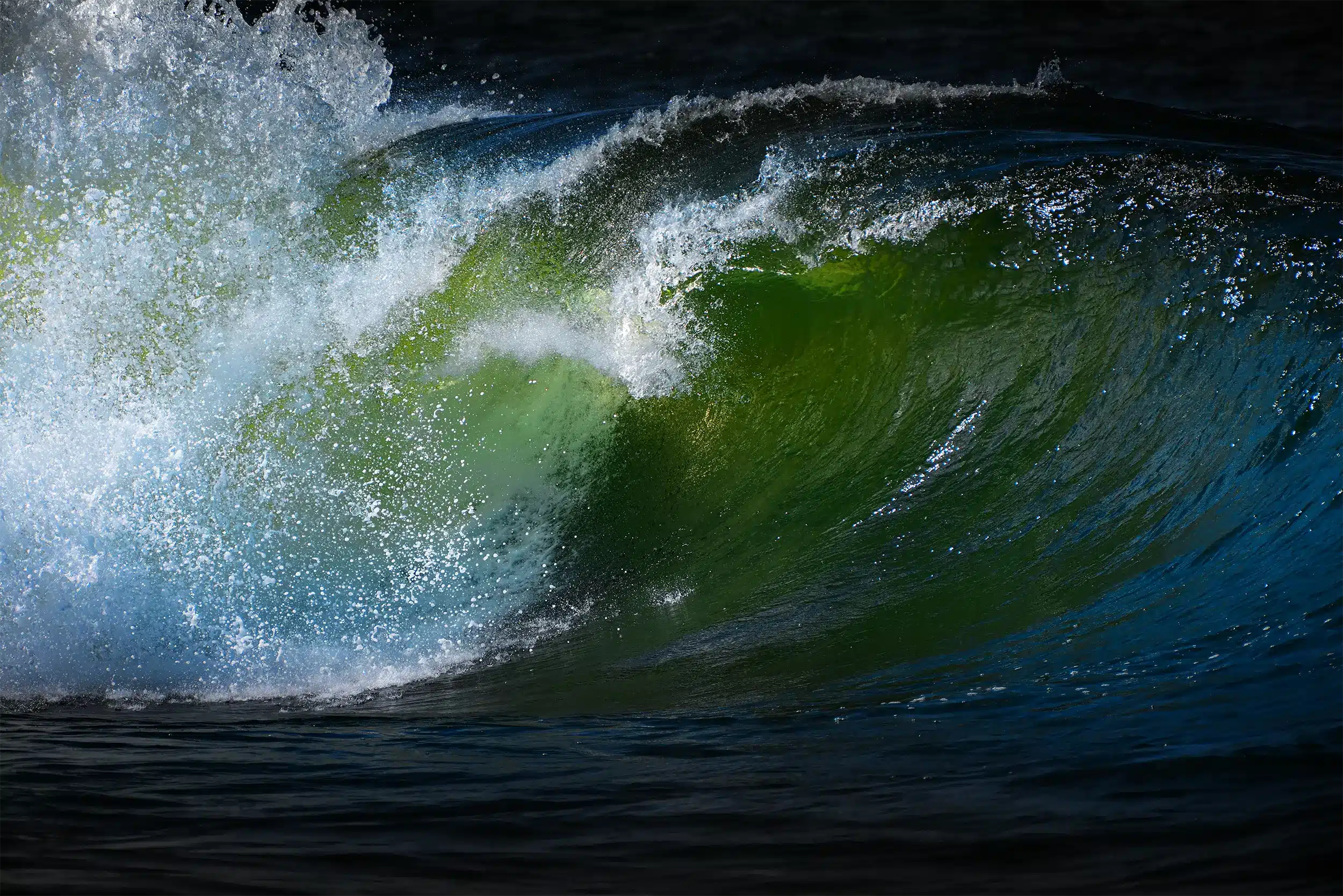 Green Curl Wall Art