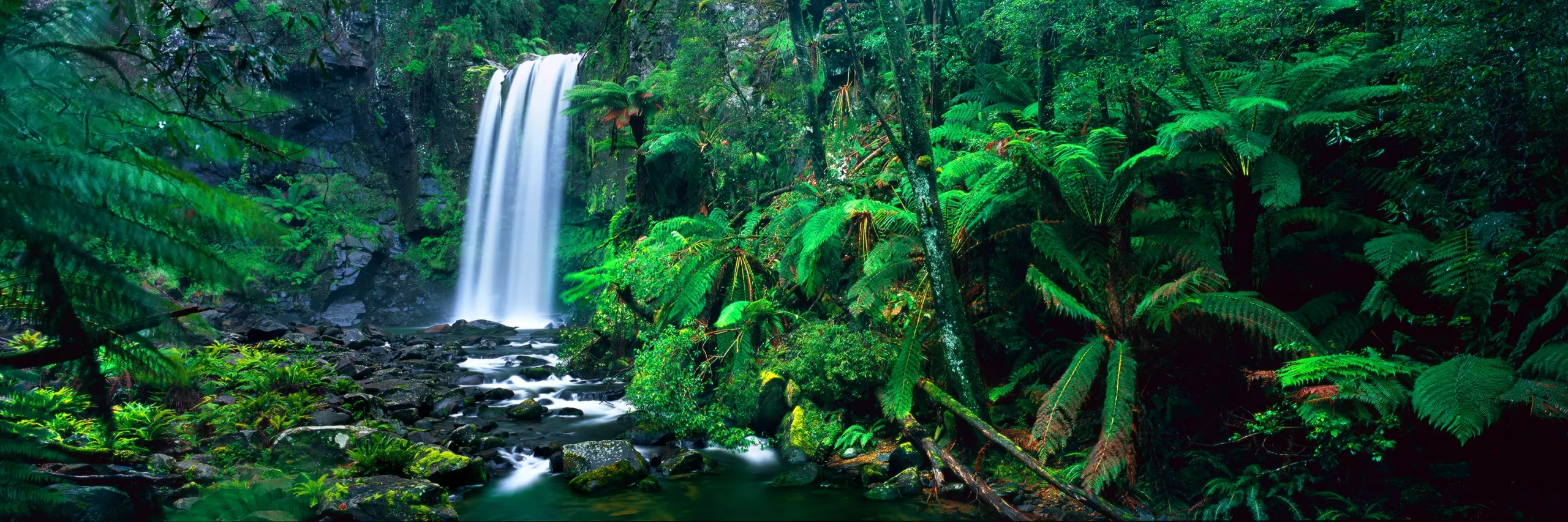 Hopetoun Falls Wall Art