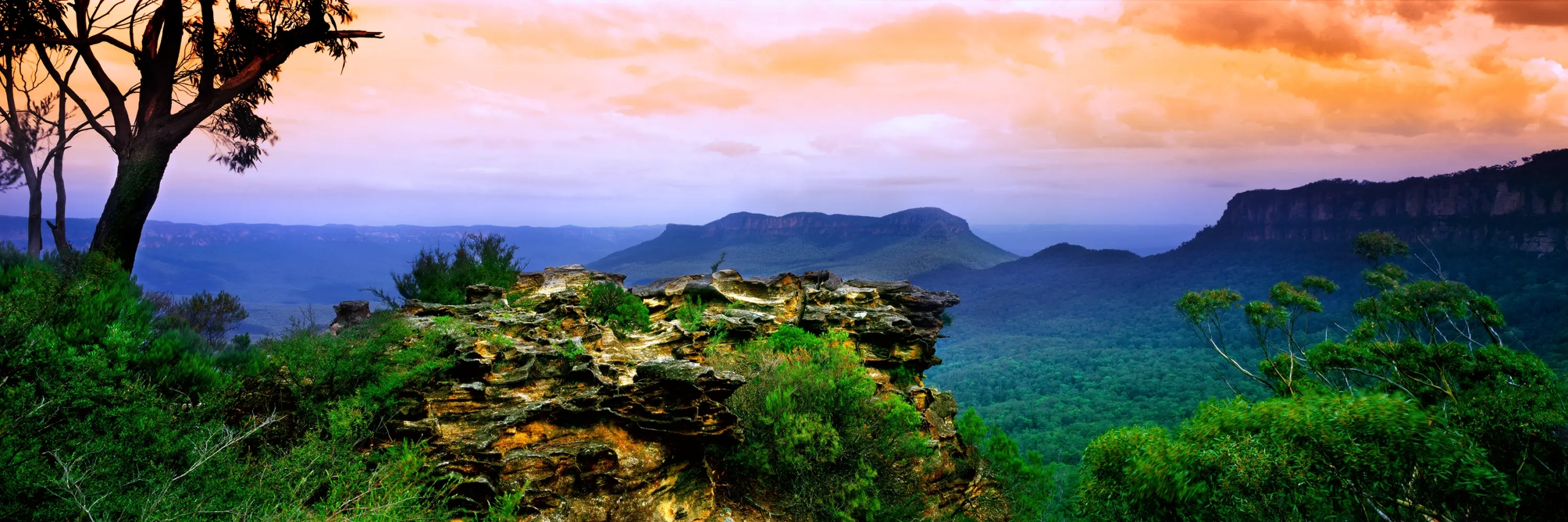 Jamison Valley Wall Art