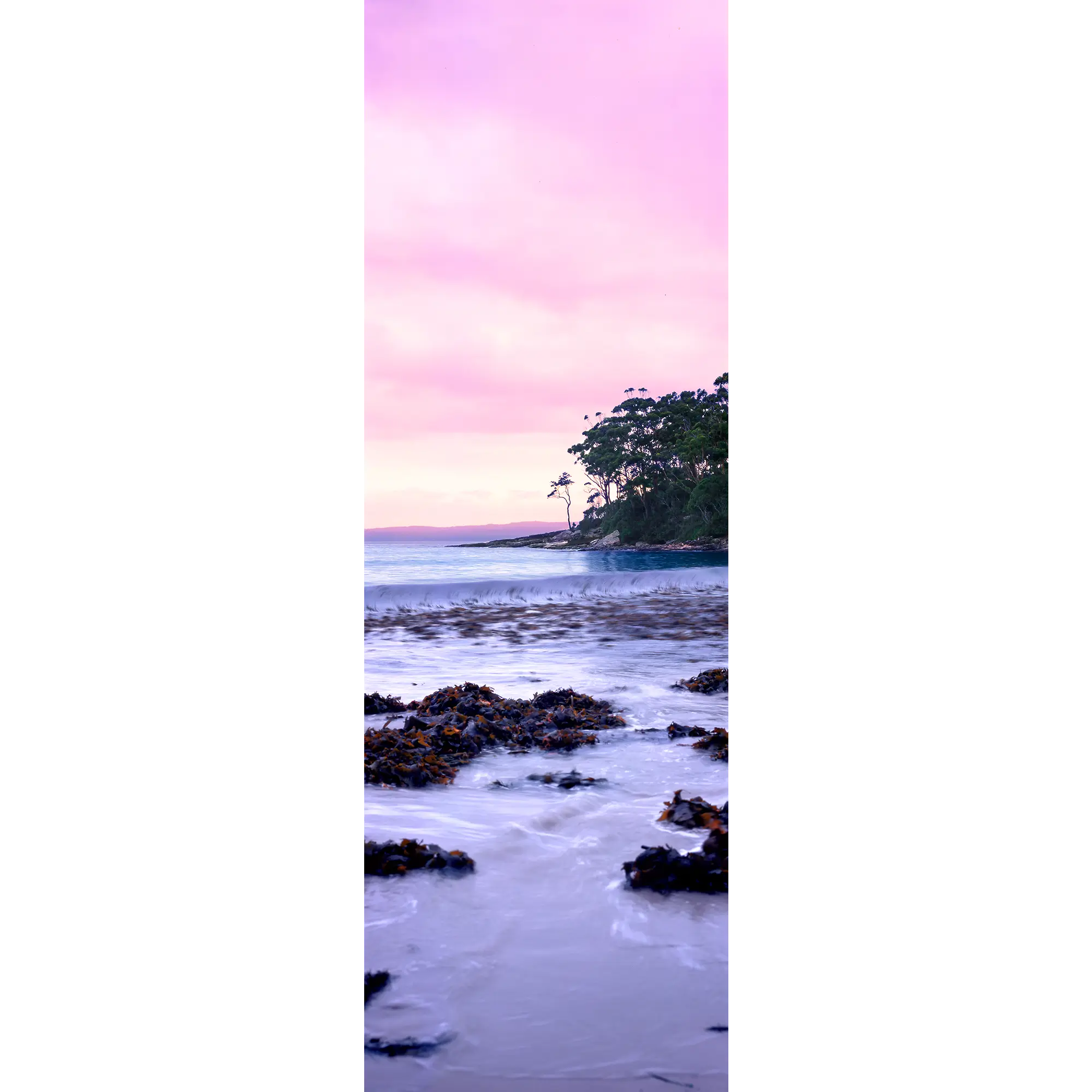 Jervis Bay Wall Art