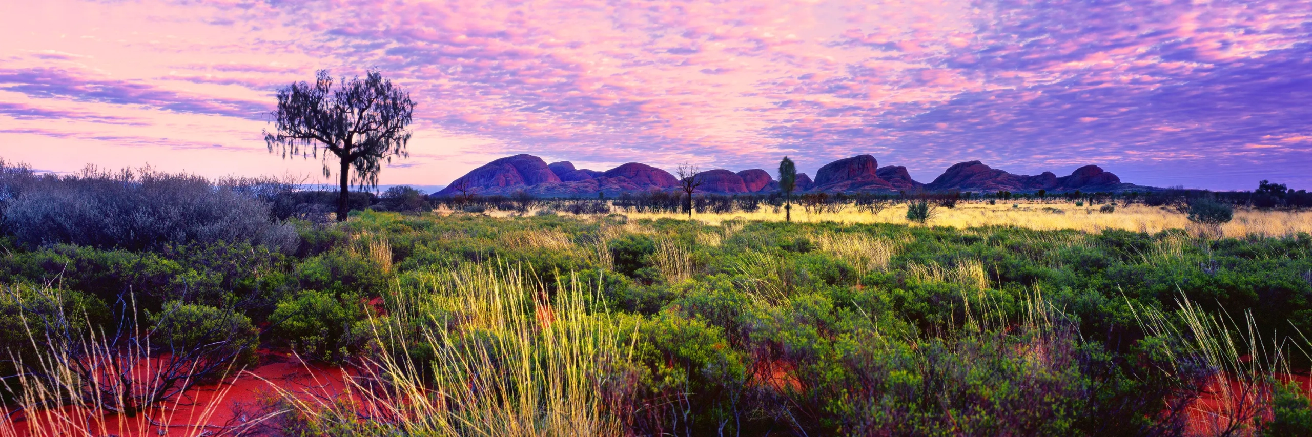 Kata Tjuta Wall Art