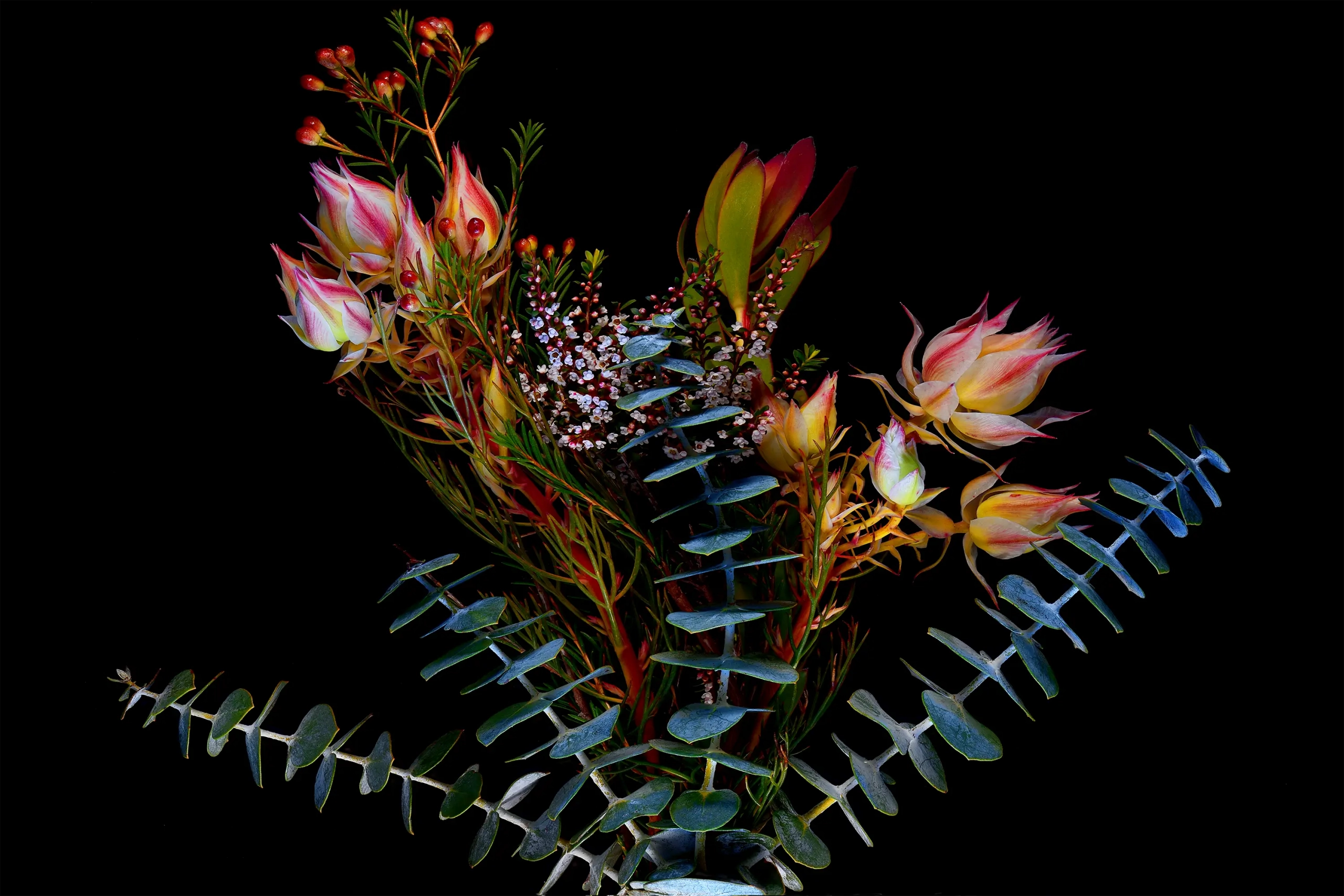 MB Focus Capture 5 Wall Art