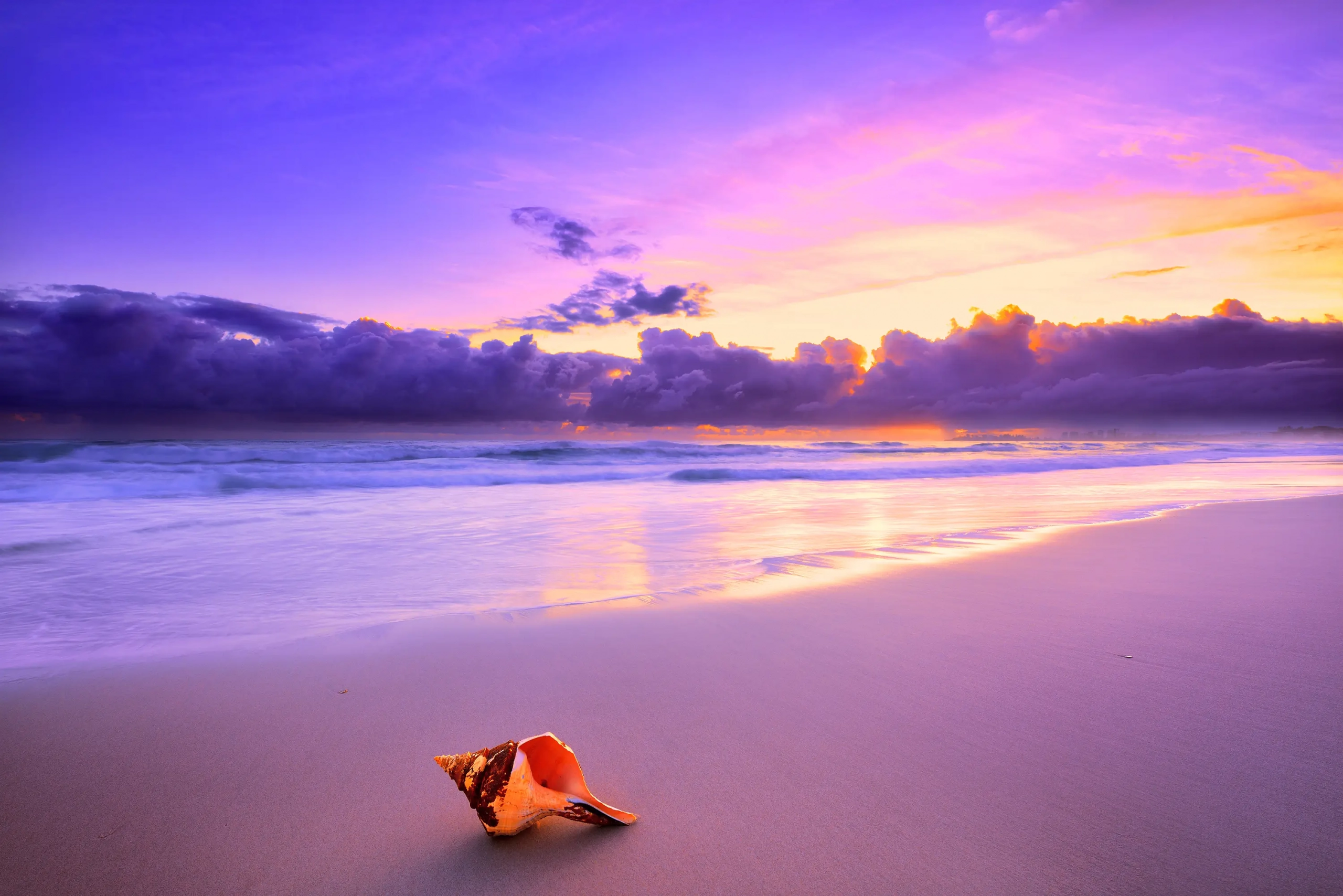 Ocean Harmony Wall Art