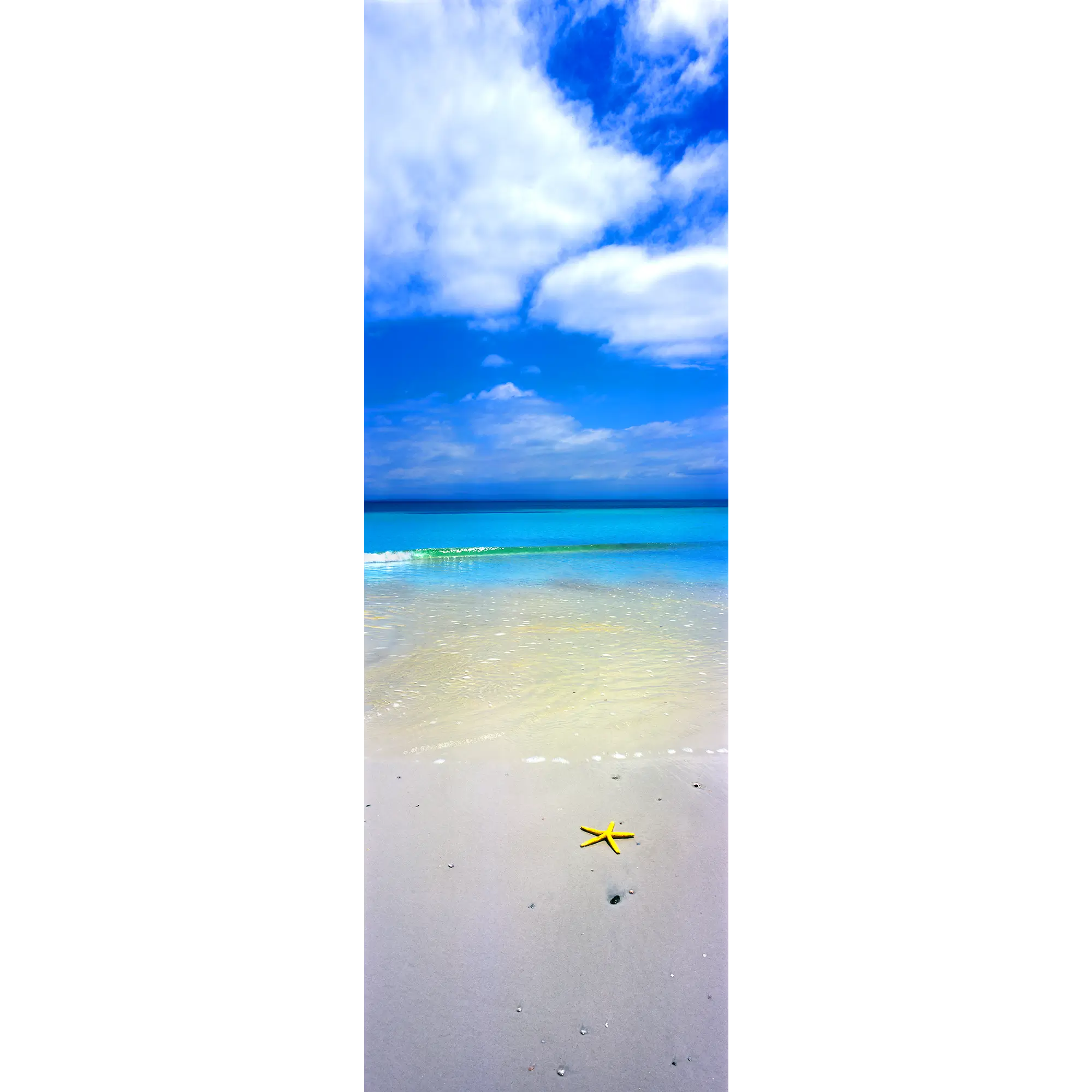 Oceans Paradise Wall Art