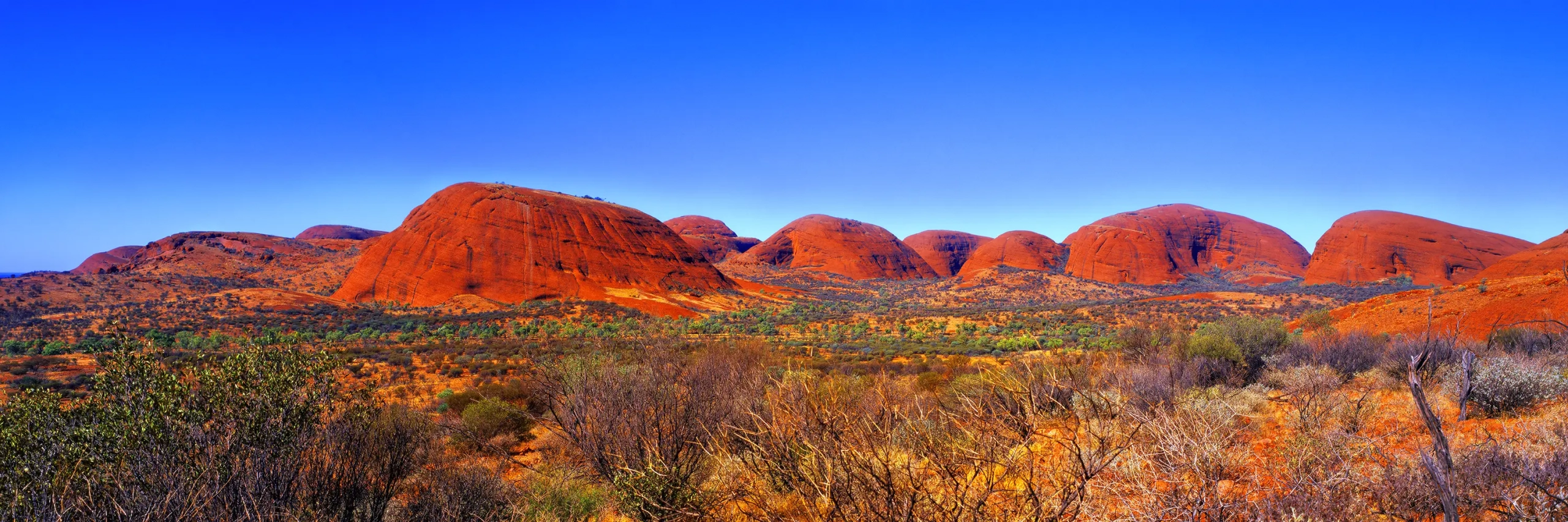 Majestic Olgas Wall Art
