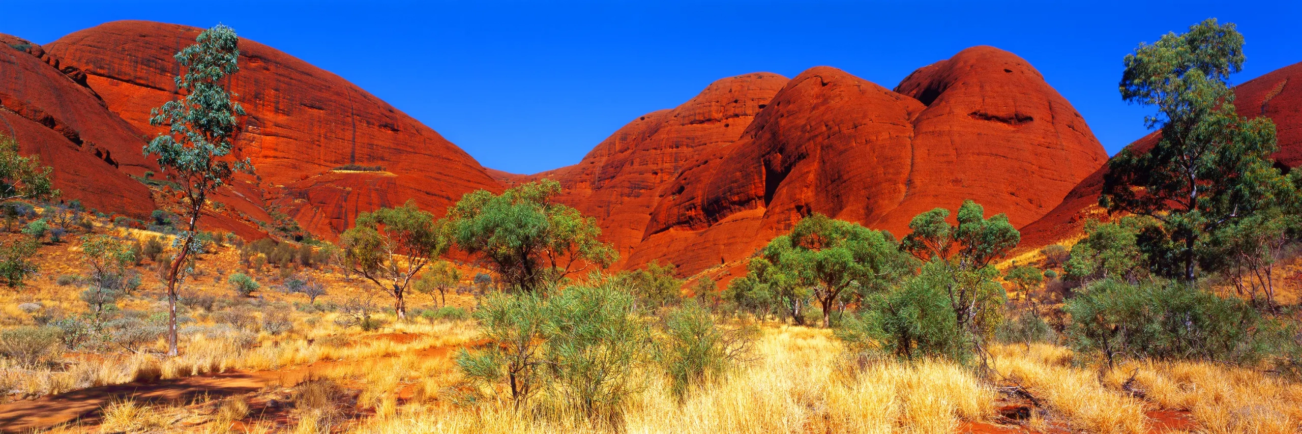 Olgas Wall Art