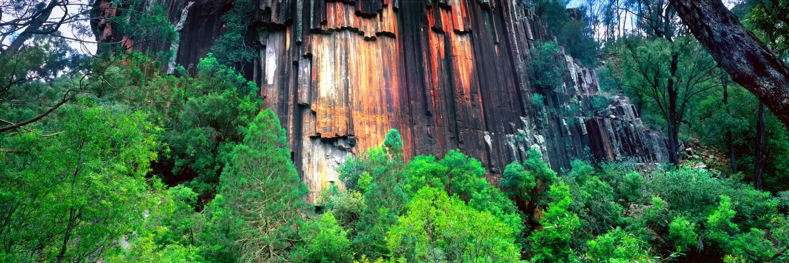 Organ Pipes Wall Art