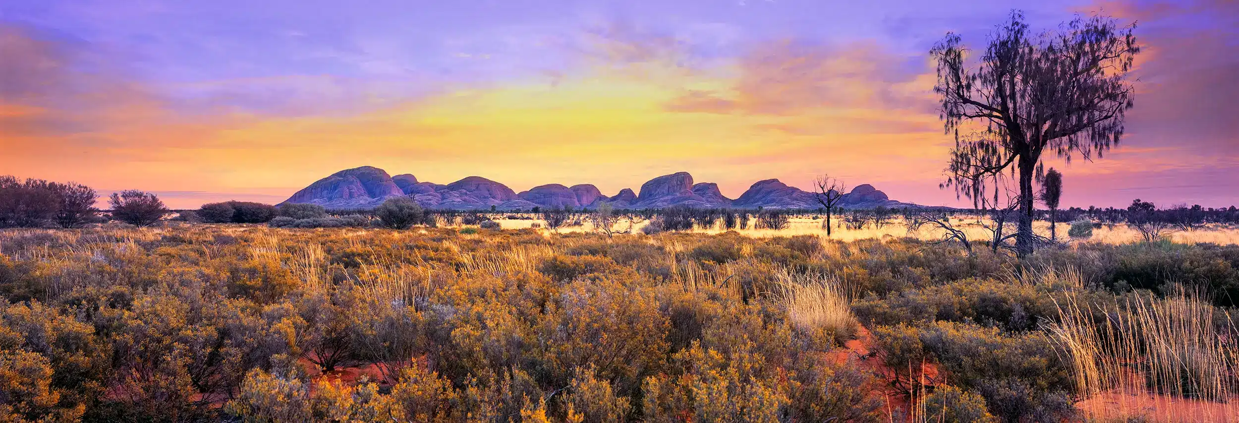 Kata Tjuta Twilight Wall Art