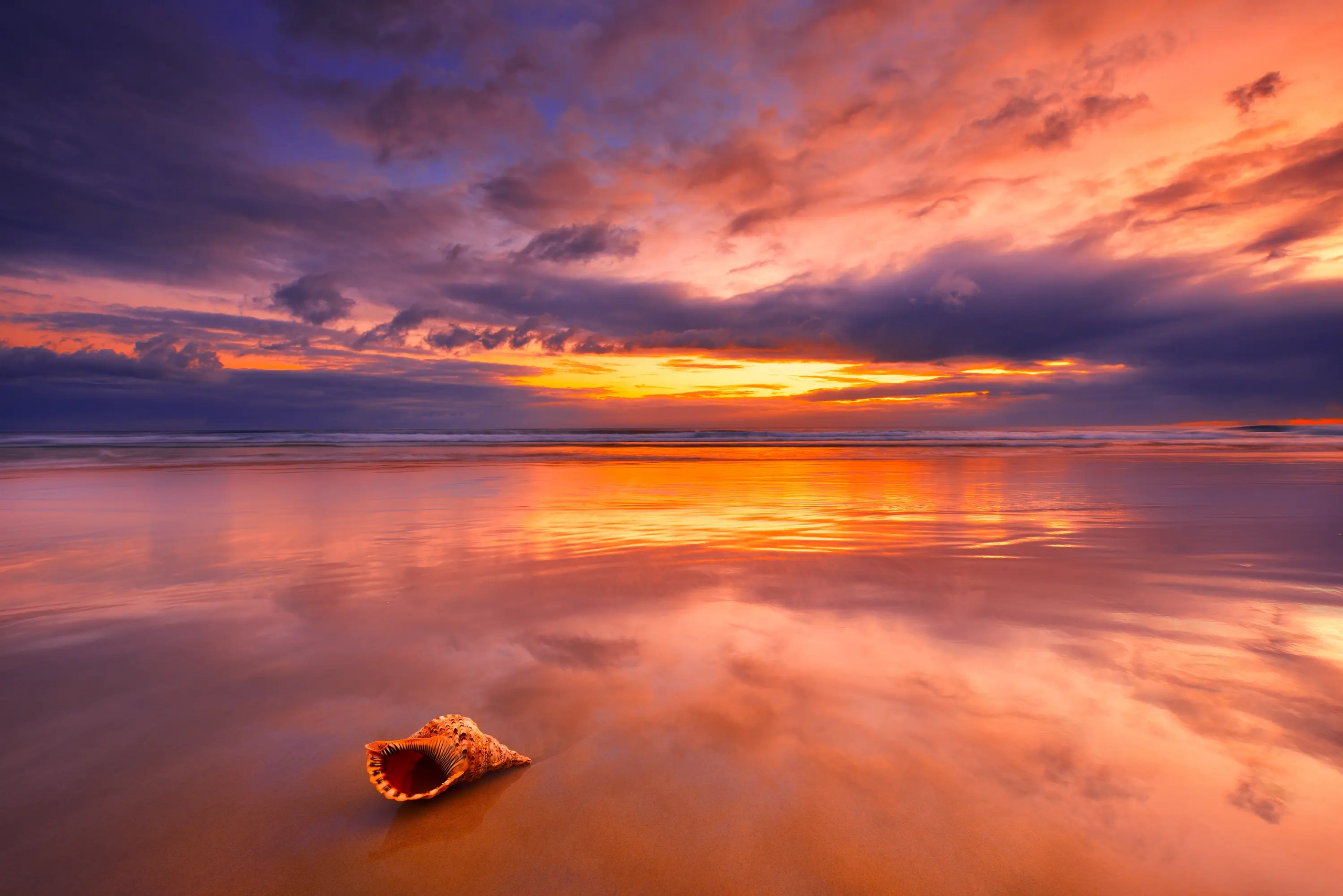 Single shell on wet sand reflecting a pink and orange sunrise, fine art beach landscape print by Mark Zissis
