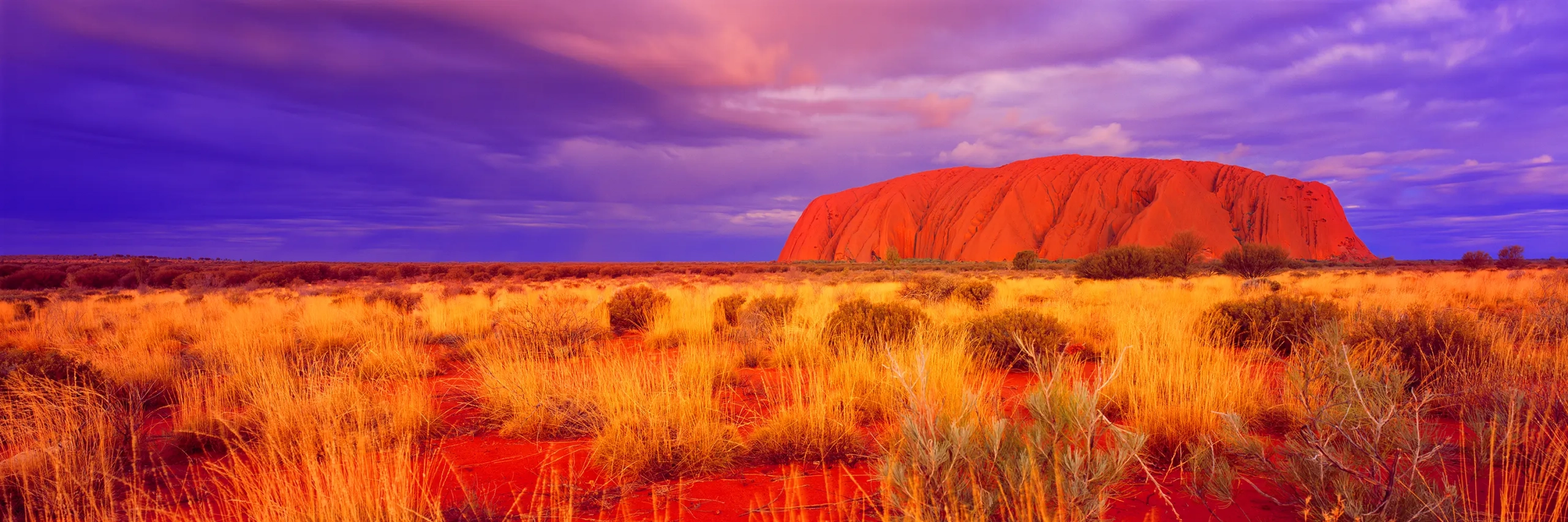 Summer Storm Uluru Wall Art