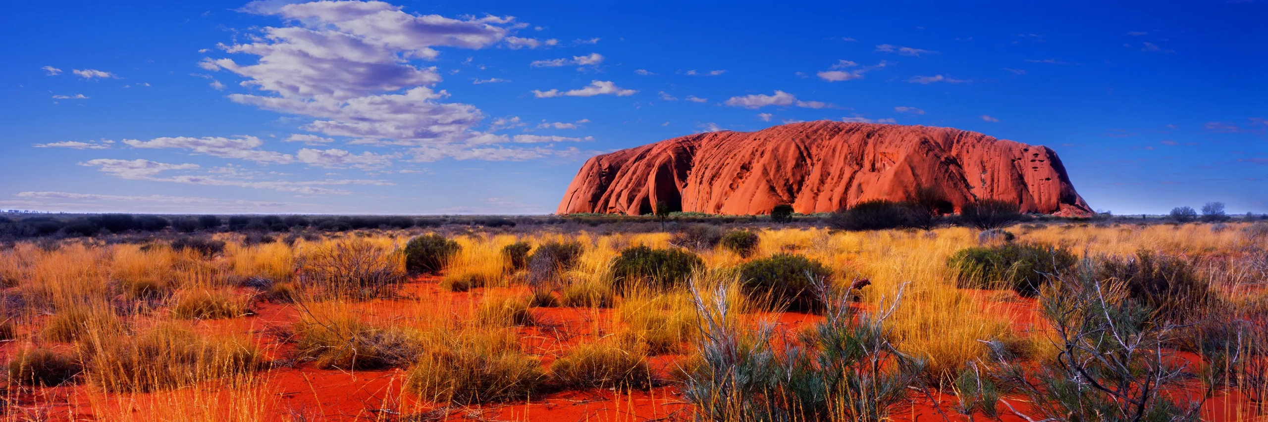 Sundrenched Uluru Wall Art