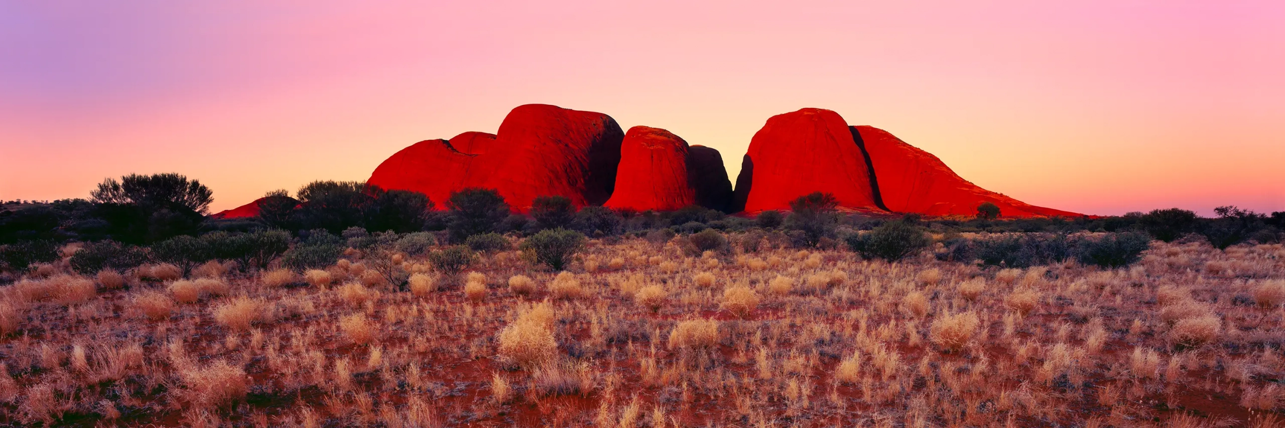 The Red Centre Wall Art