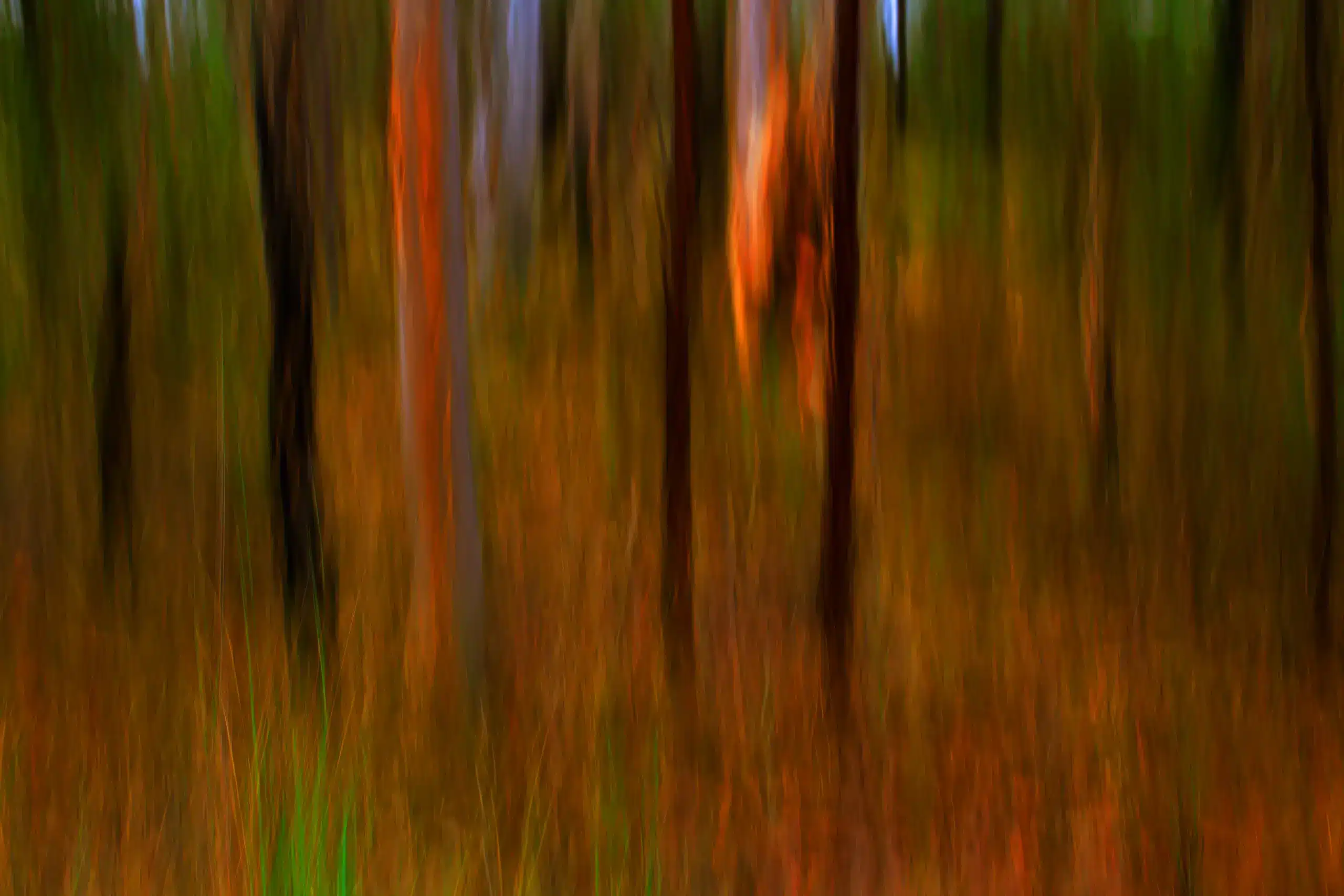 Vertical Blur Wall Art