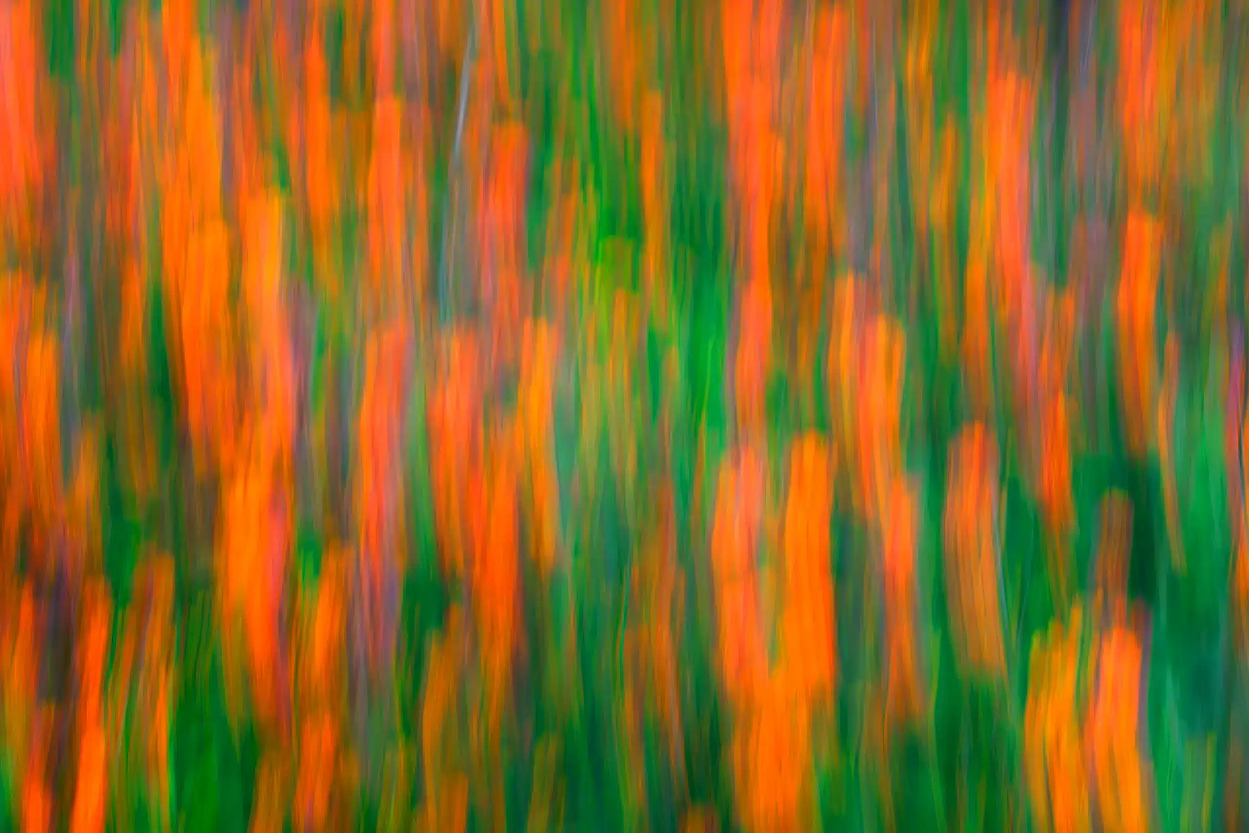 Wild Garden Wall Art