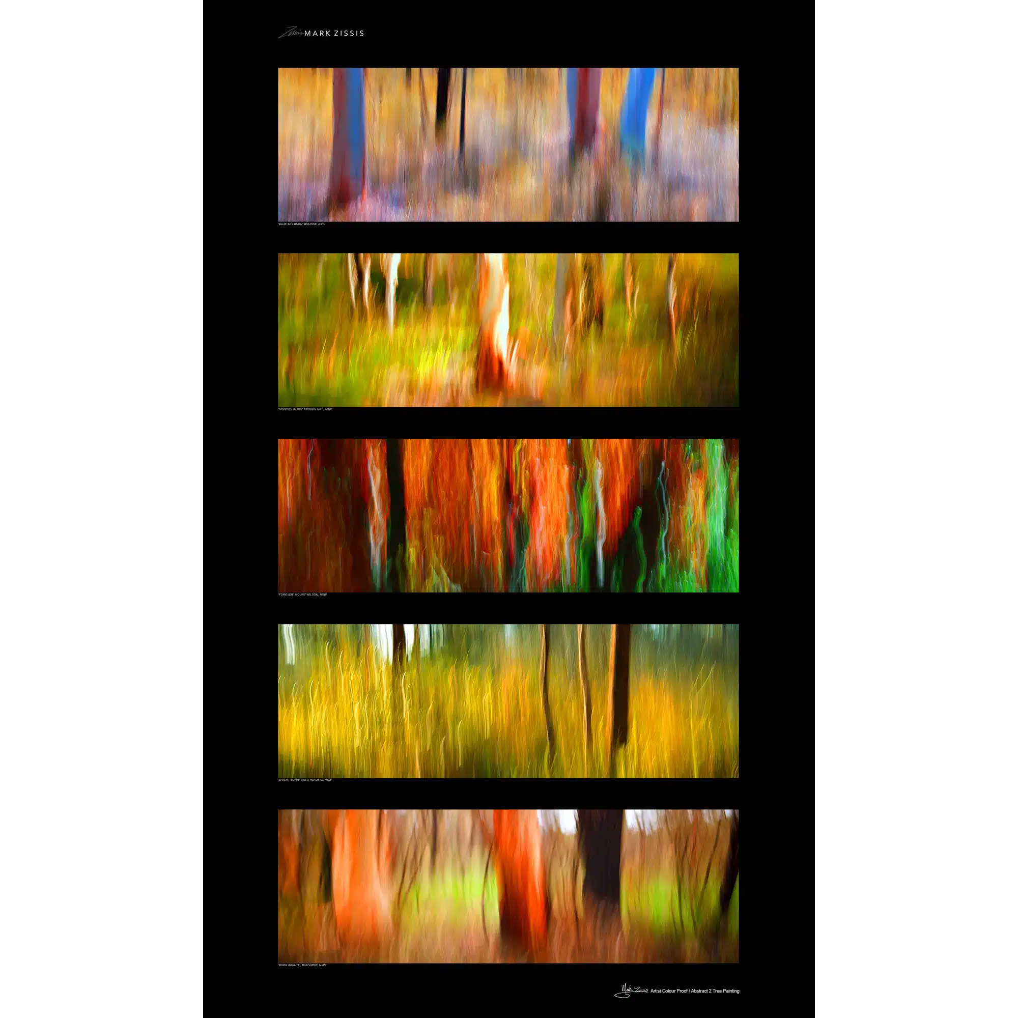 Artist Colour Proof Abstract 2 Wall Art