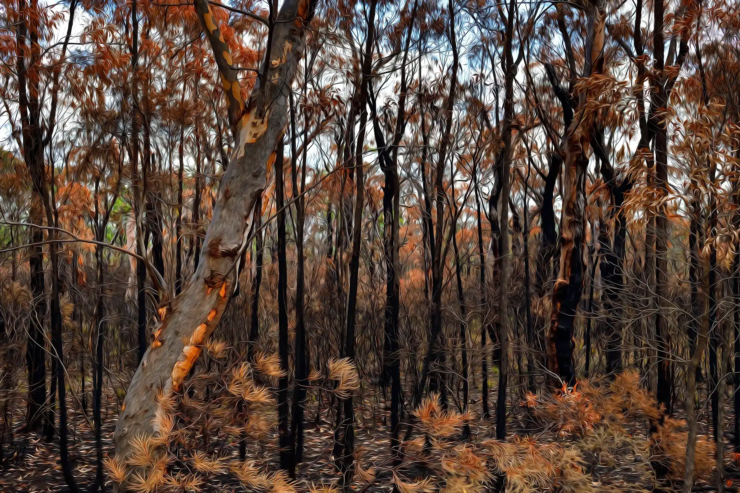 Brush Burnt - Oil Brush Wall Art