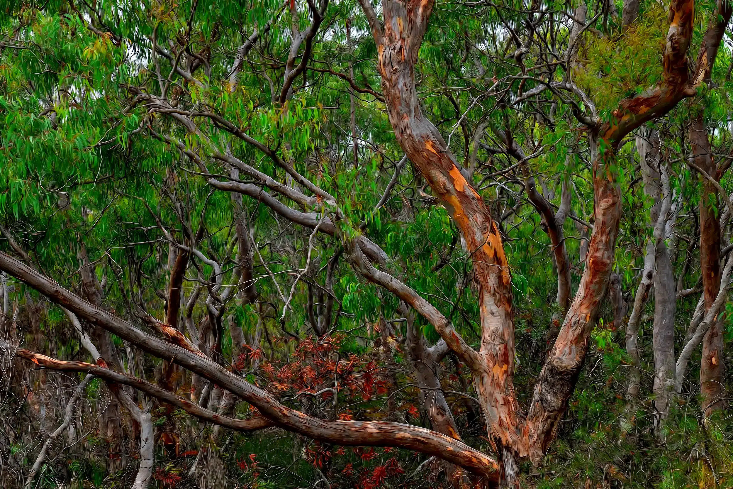 Twisted Brush Gum - Oil Brush Wall Art
