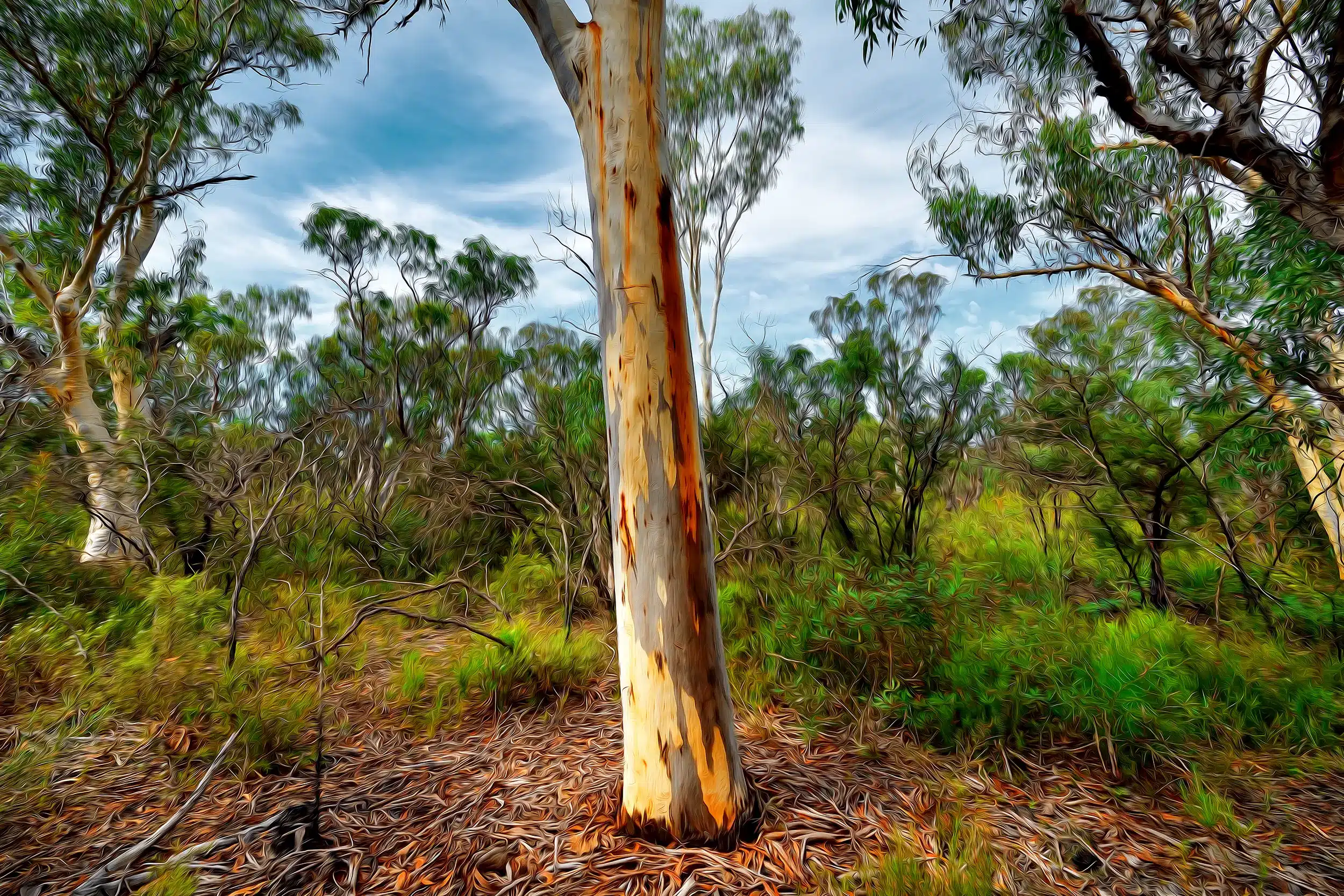 Grey Gums - Oil Brush Wall Art