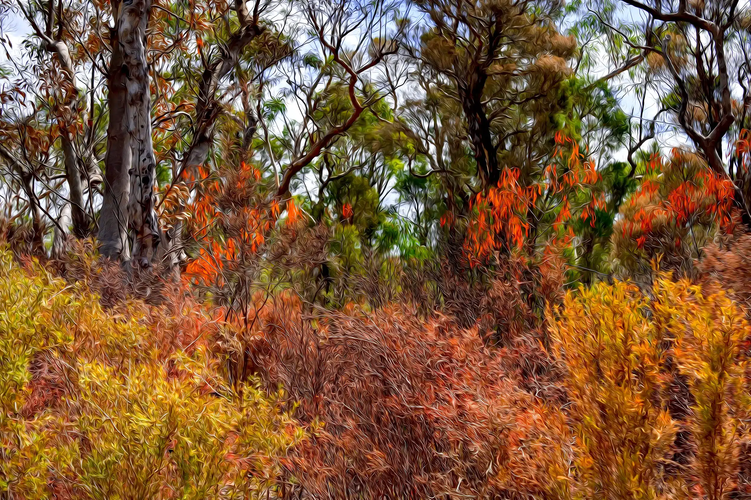 Flaming Bush - Oil Brush Wall Art