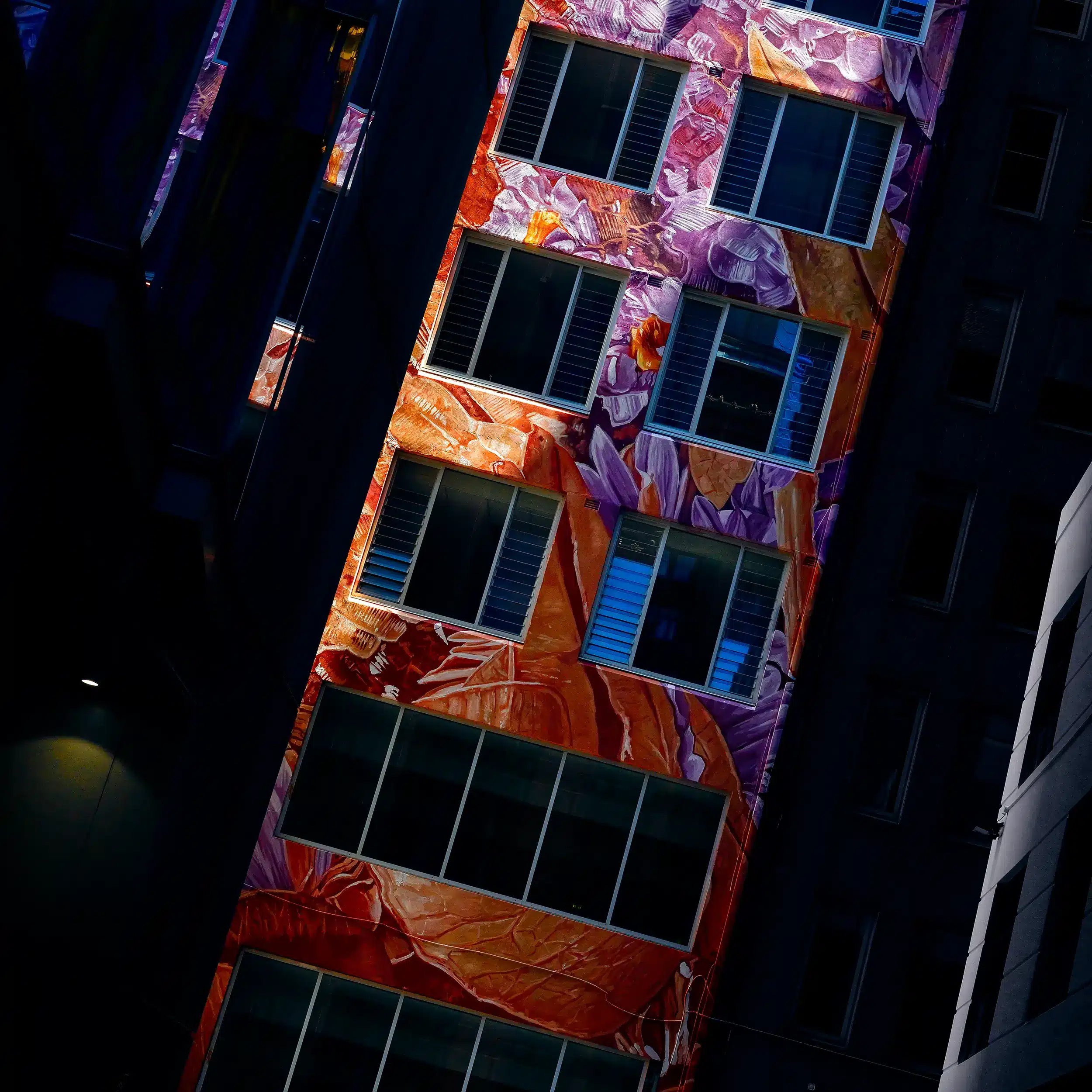 Hyper Colour Wall Art
