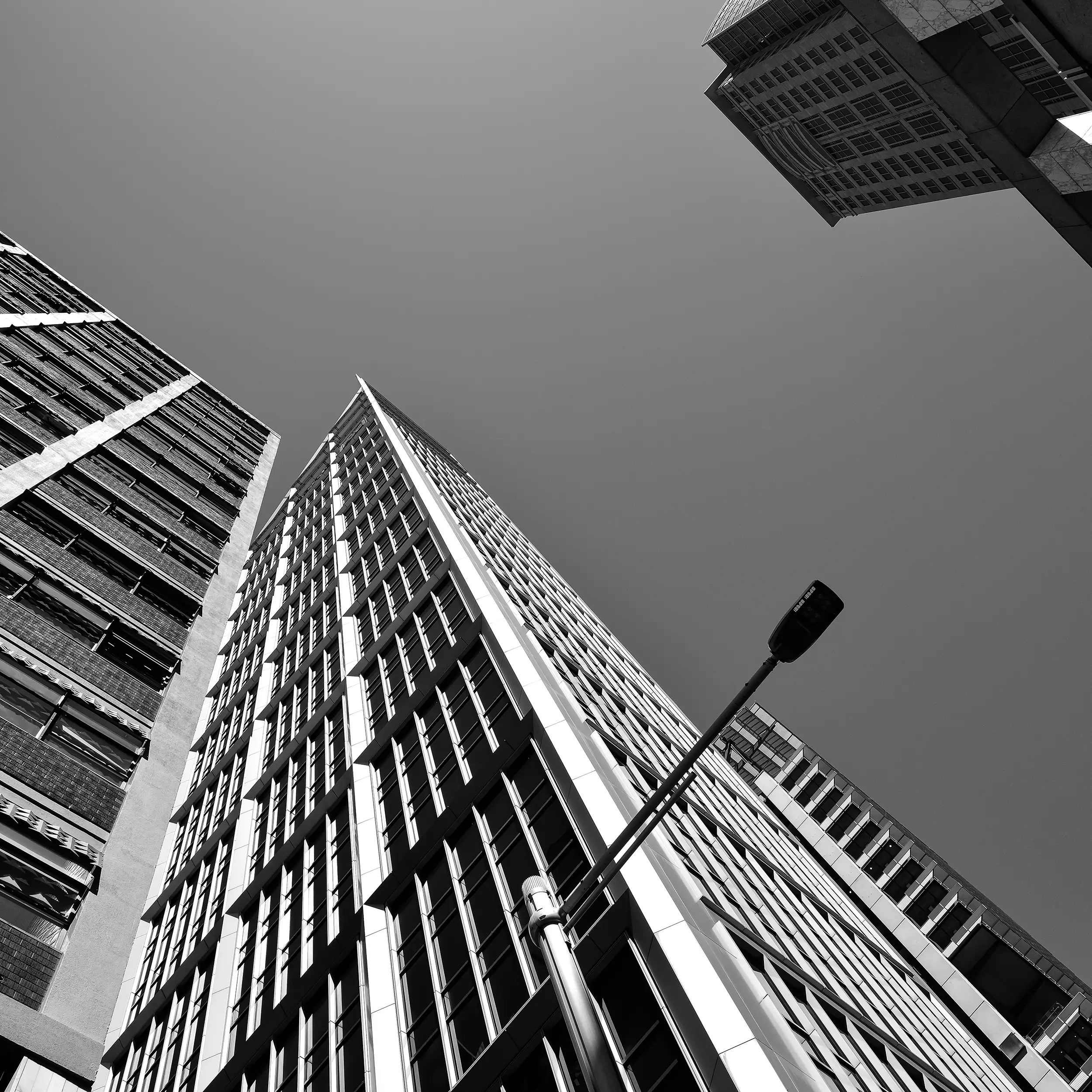 Look Up Wall Art