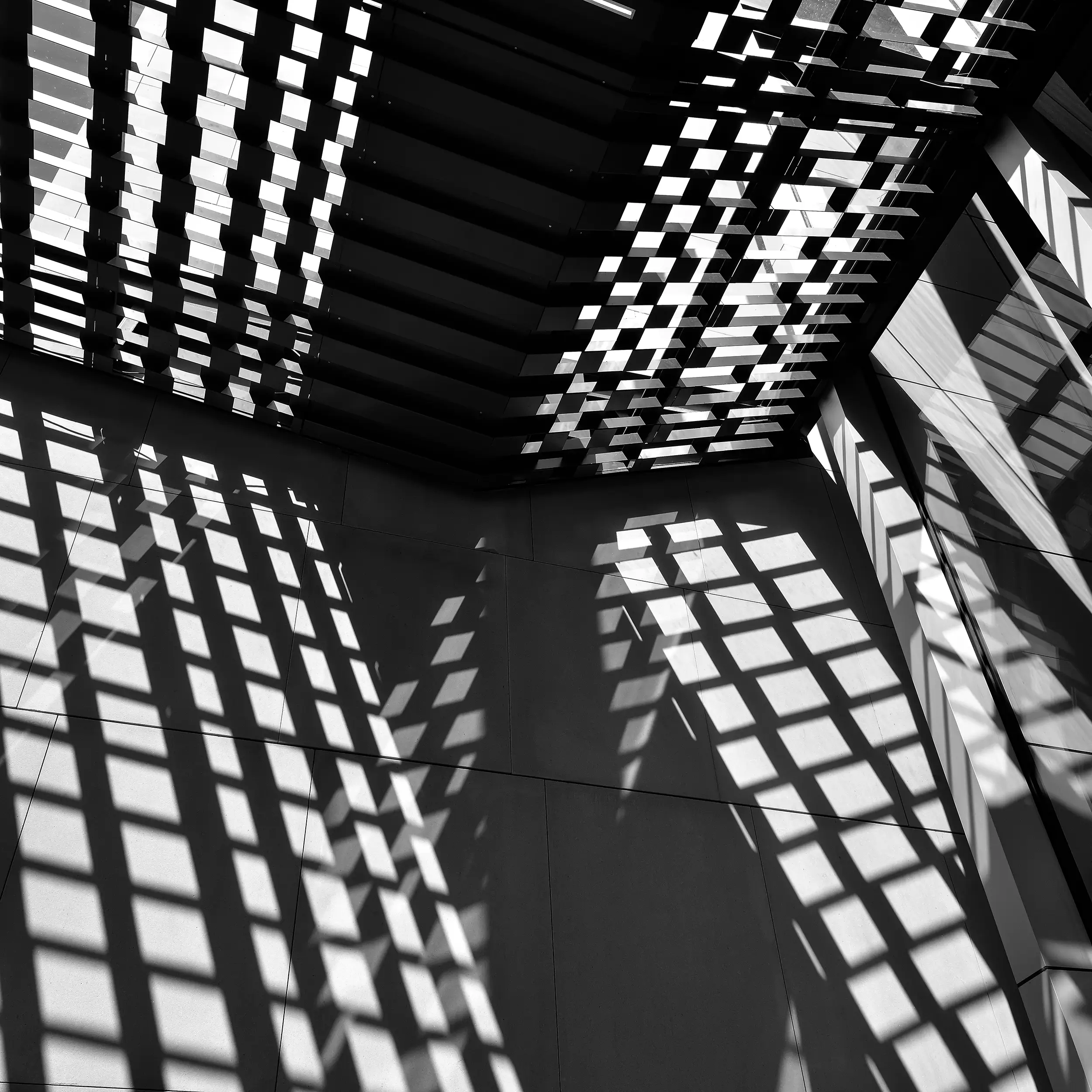 Sunlight Perception Wall Art