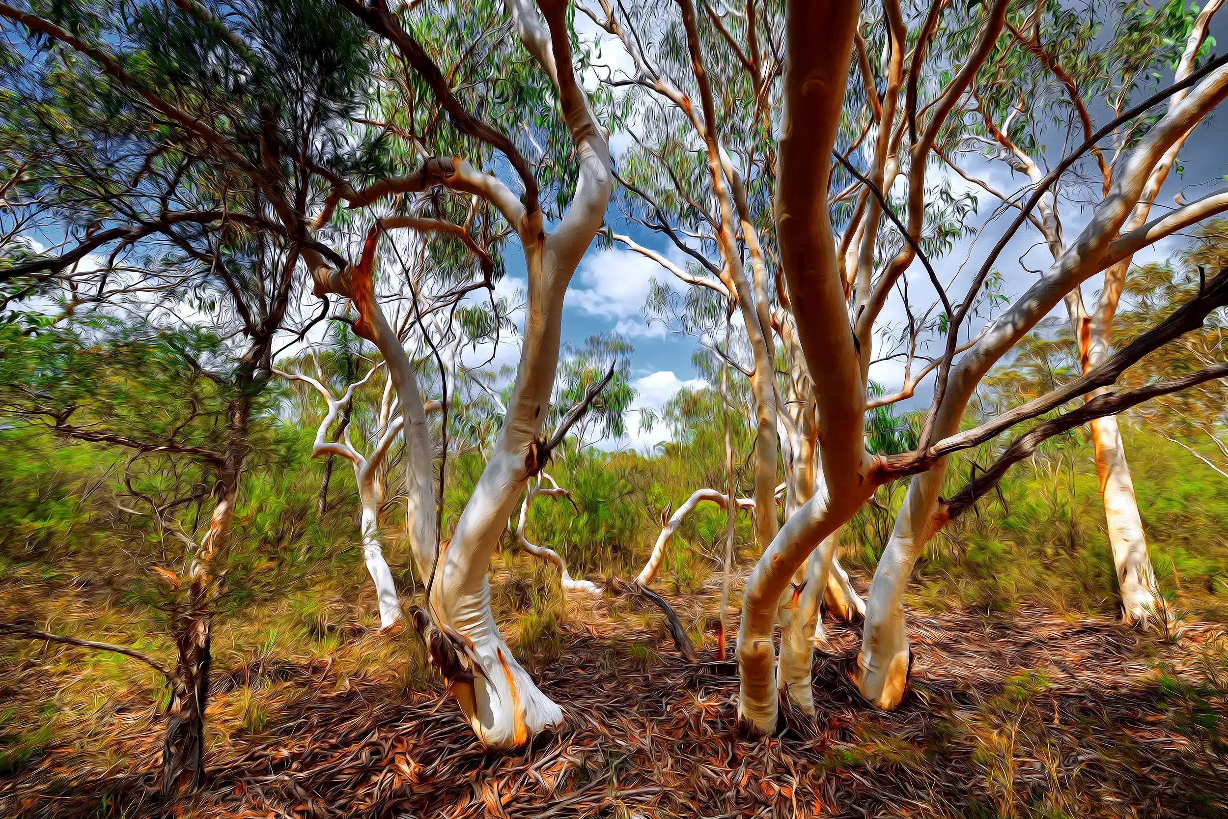 Wild Bush Gums - Oil Brush Wall Art
