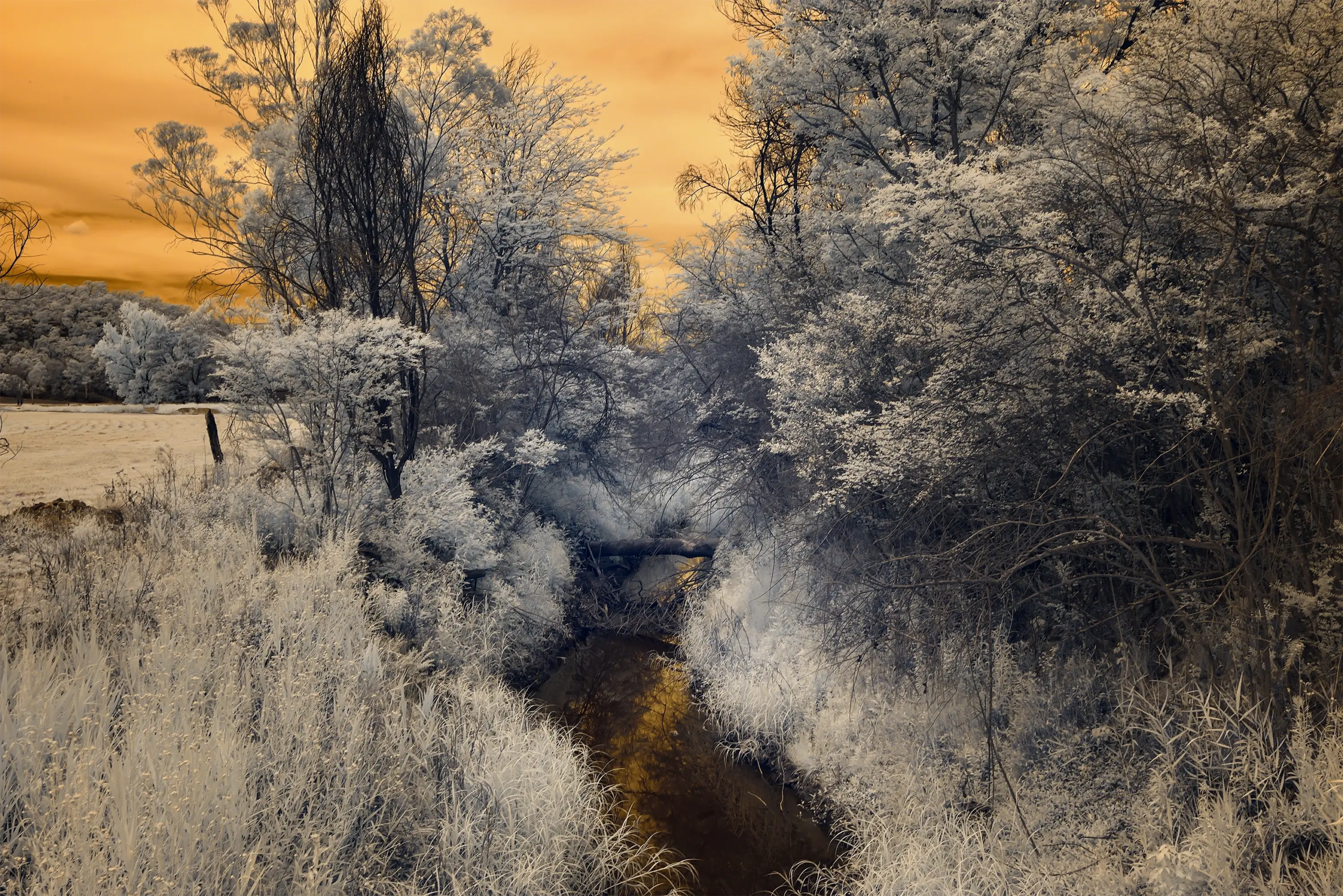 Chain O Ponds IR 720 NM Wall Art
