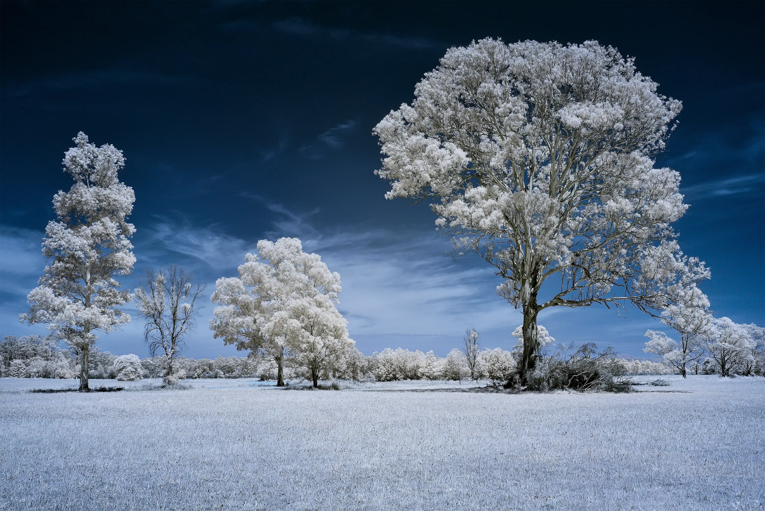 Clarendon Country IR 720 NM Wall Art