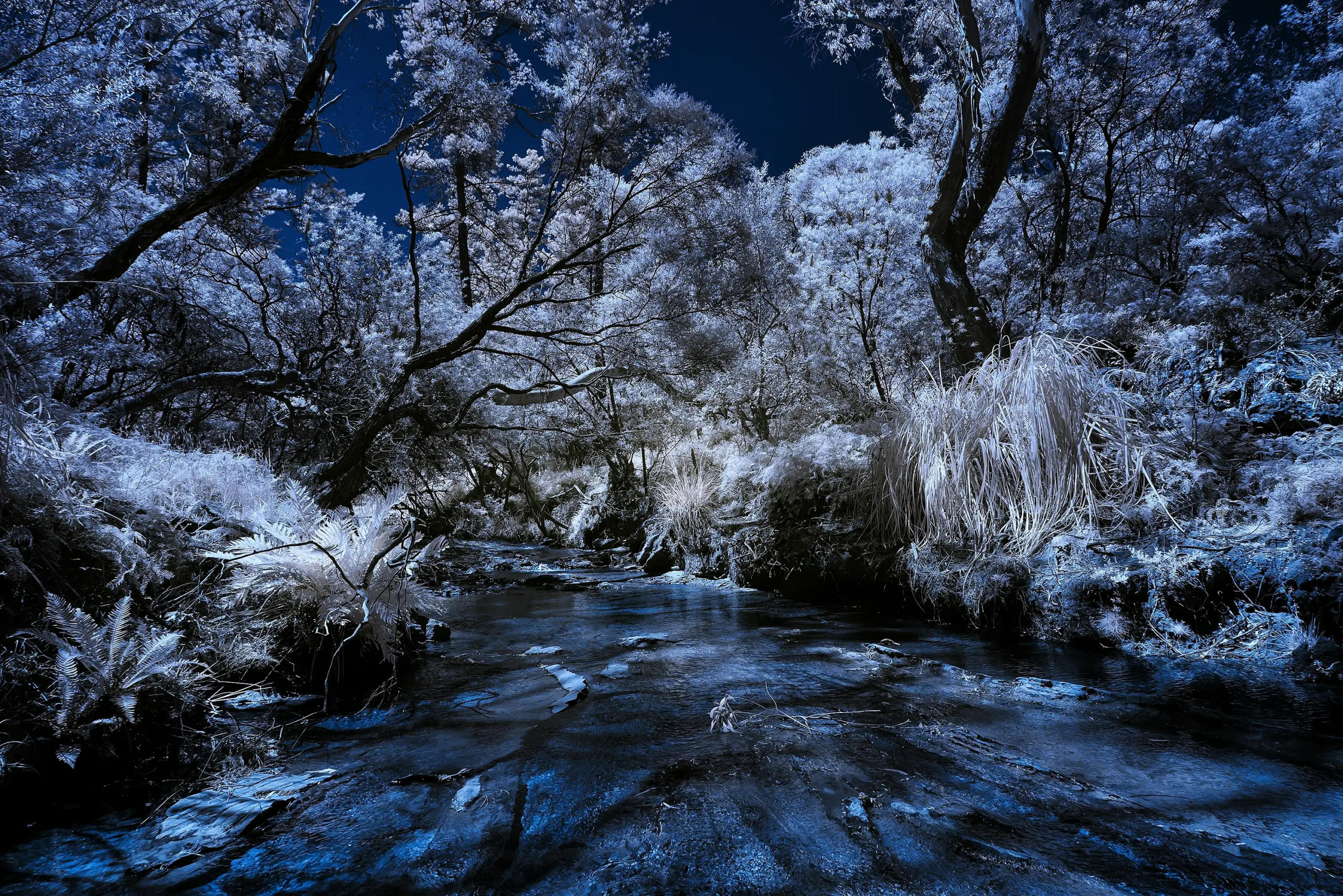 Midnight Sun IR 720 NM Wall Art