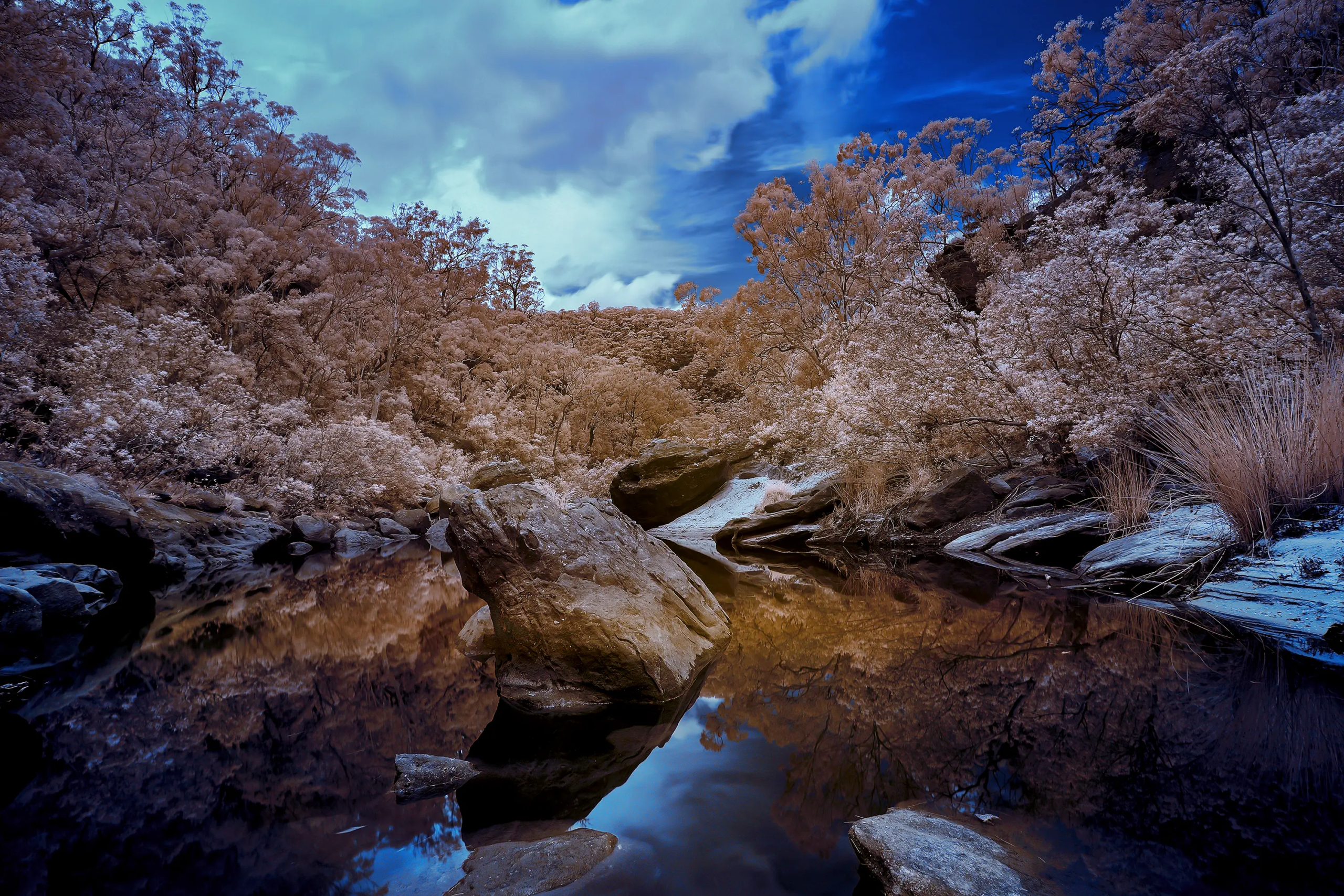 Jellybean Pool IR 720 NM Wall Art