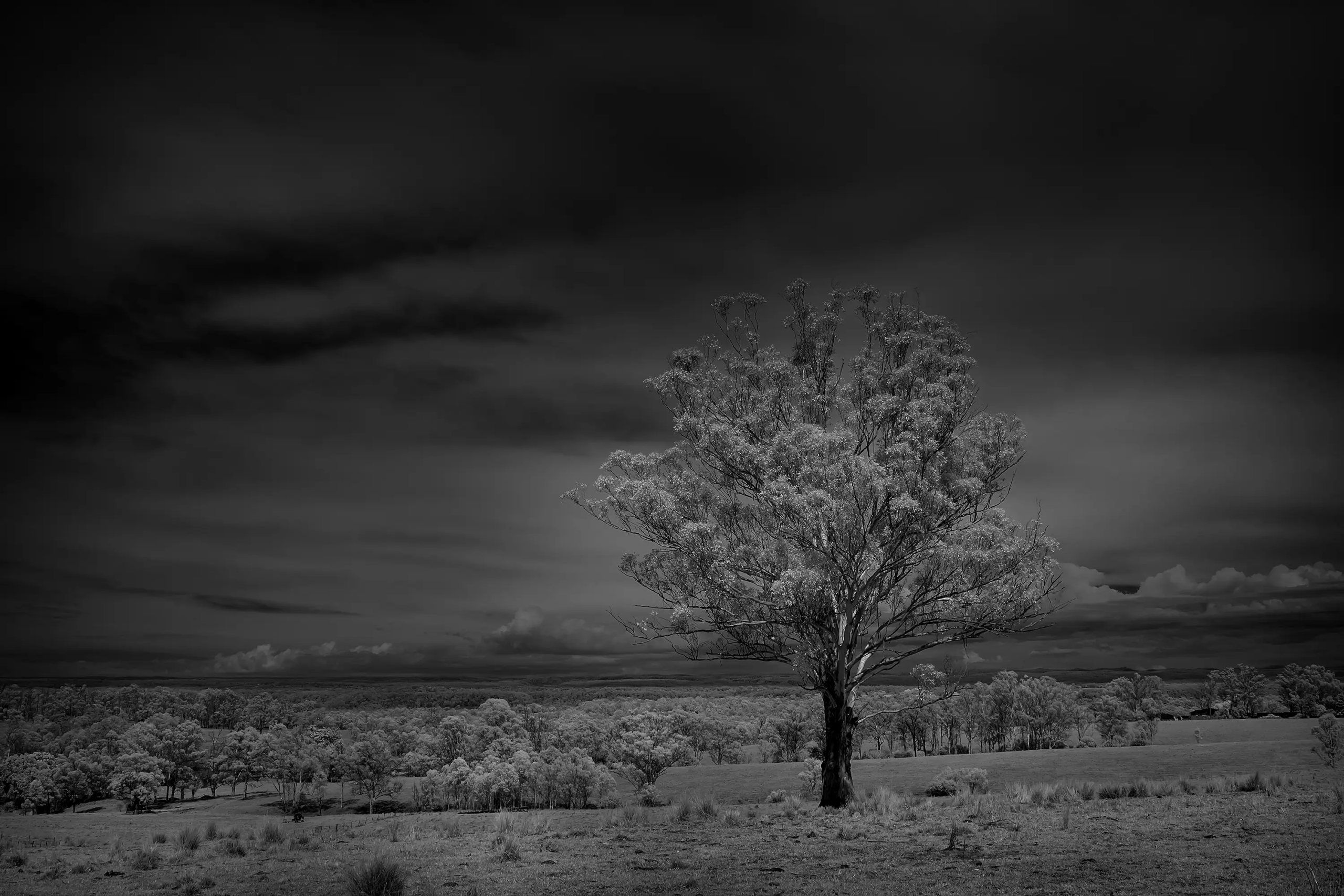Luddenham Plains IR 720 NM Wall Art