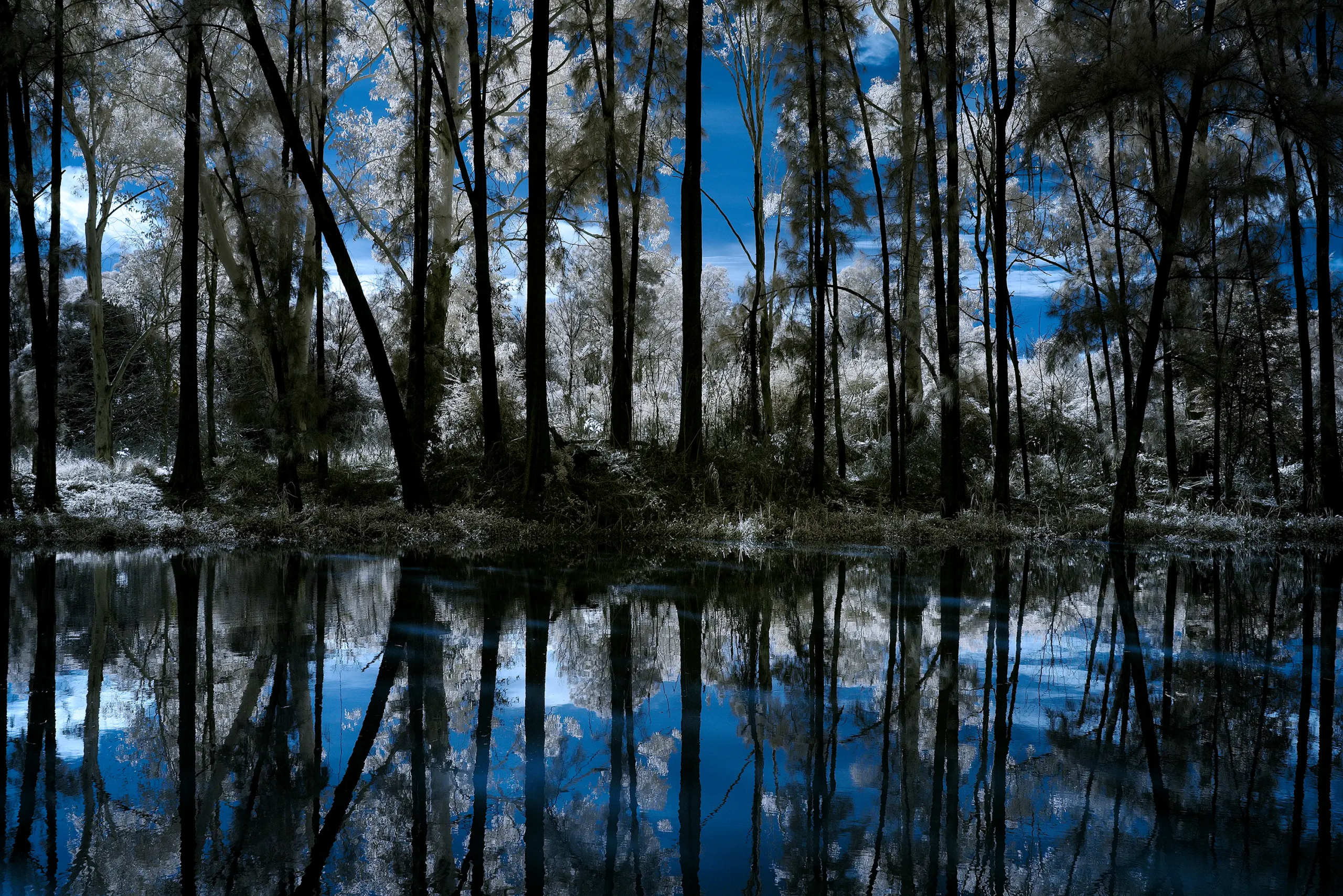 Riverside Reflections Wall Art