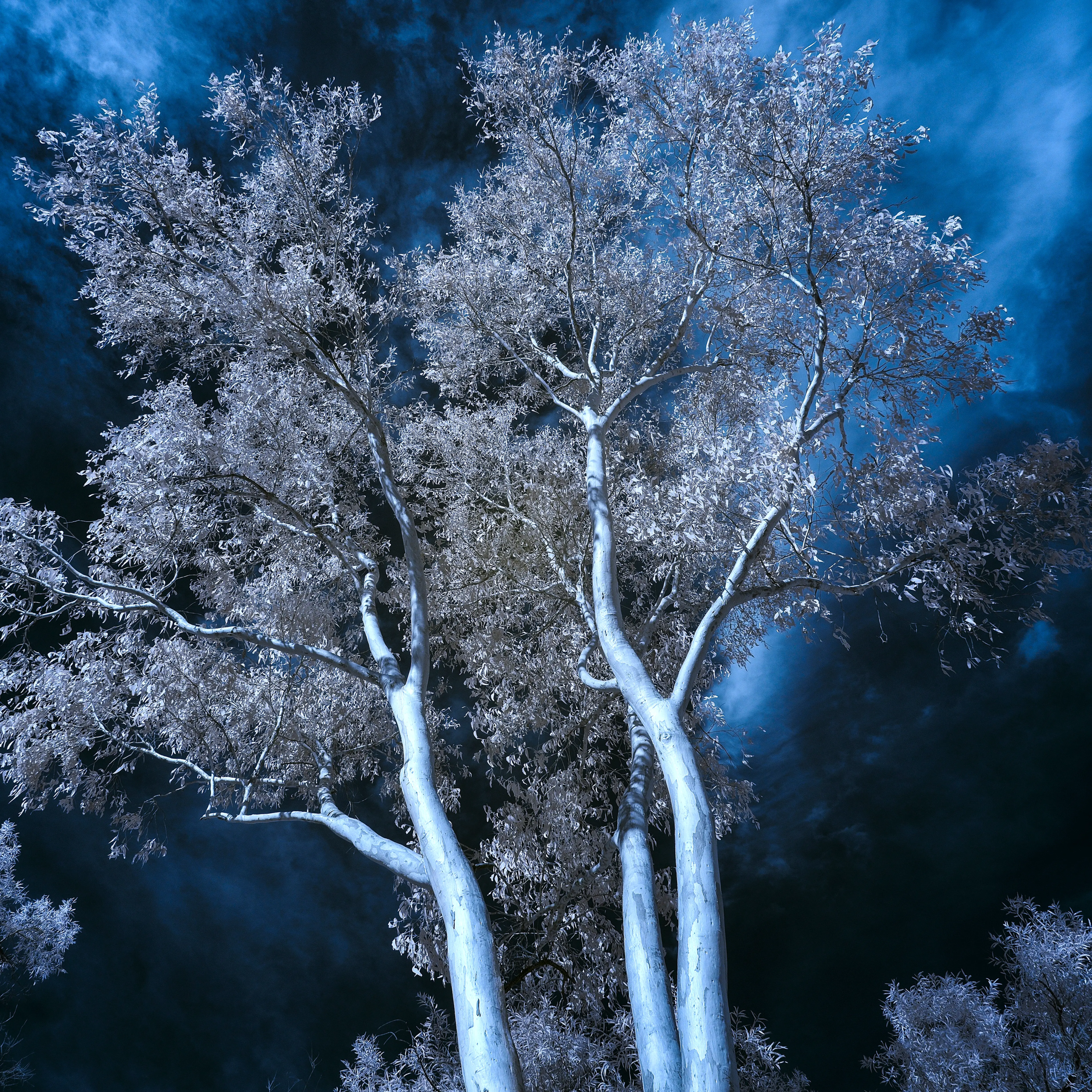 Swirling Skies Wall Art
