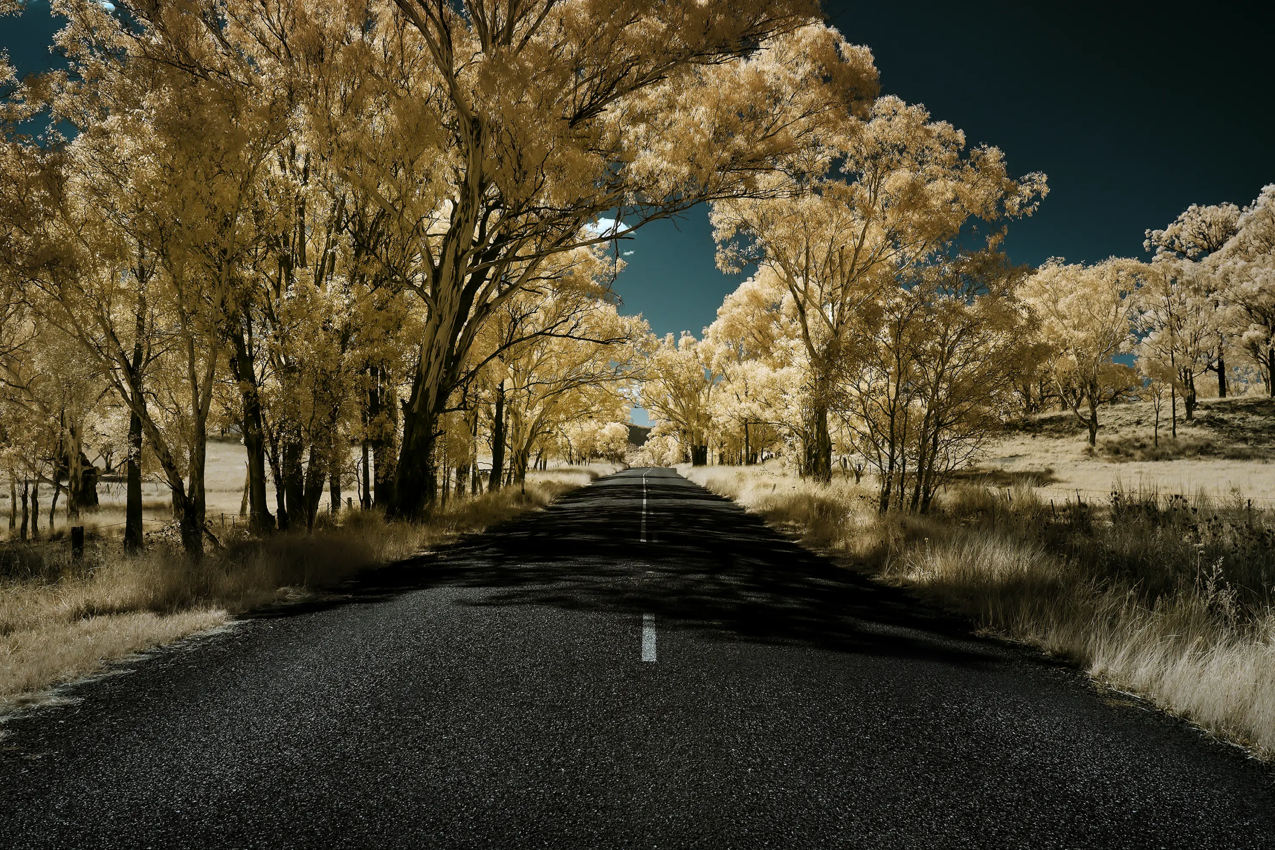 Capertee Country IR 720 NM Wall Art
