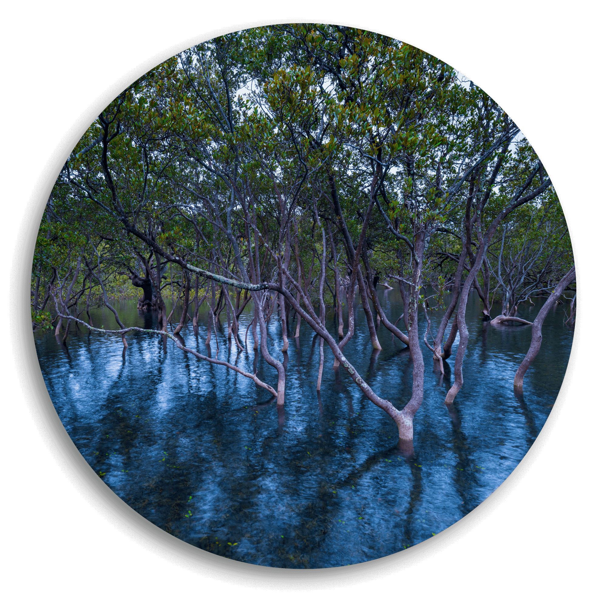 Estuary Reflections - Circle Wall Art