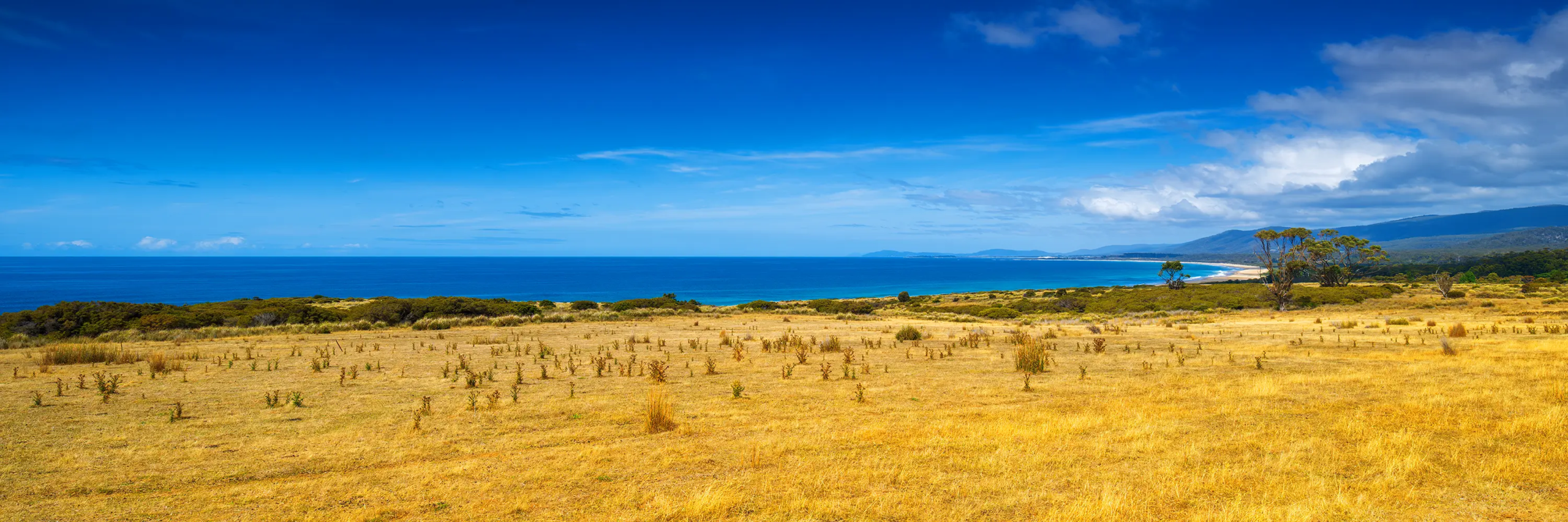 Bicheno Coast