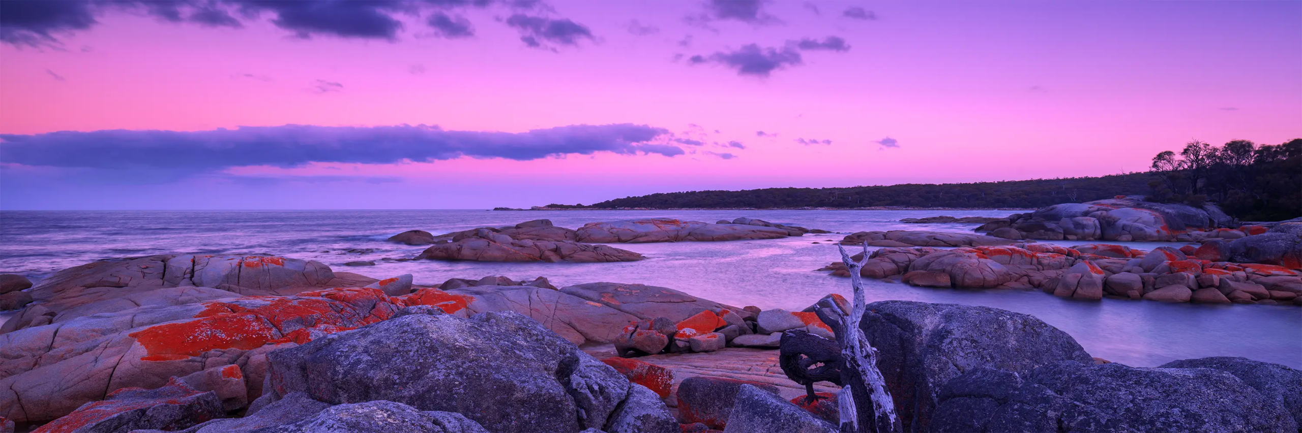 Native Coast