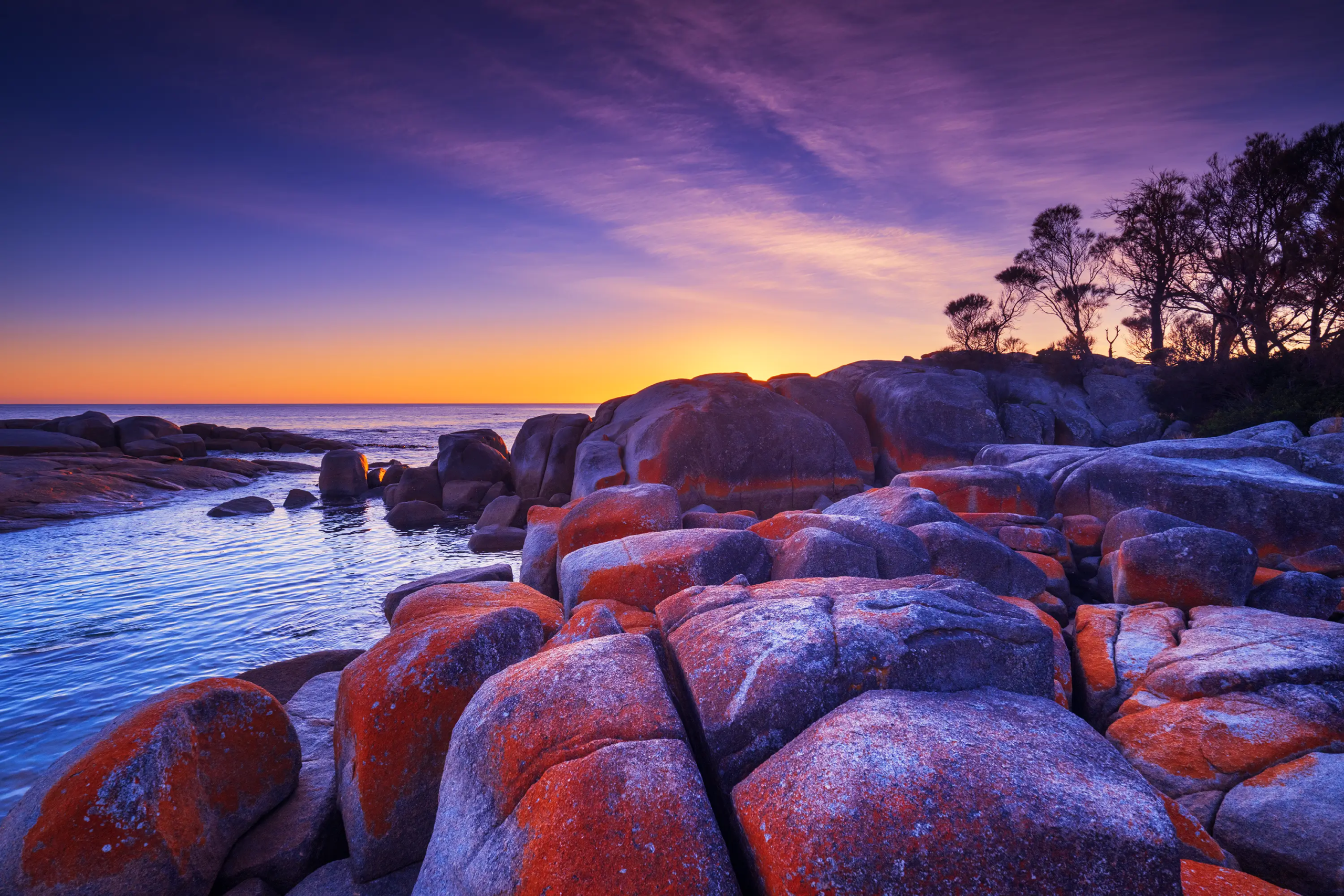 Ochre Sunrise