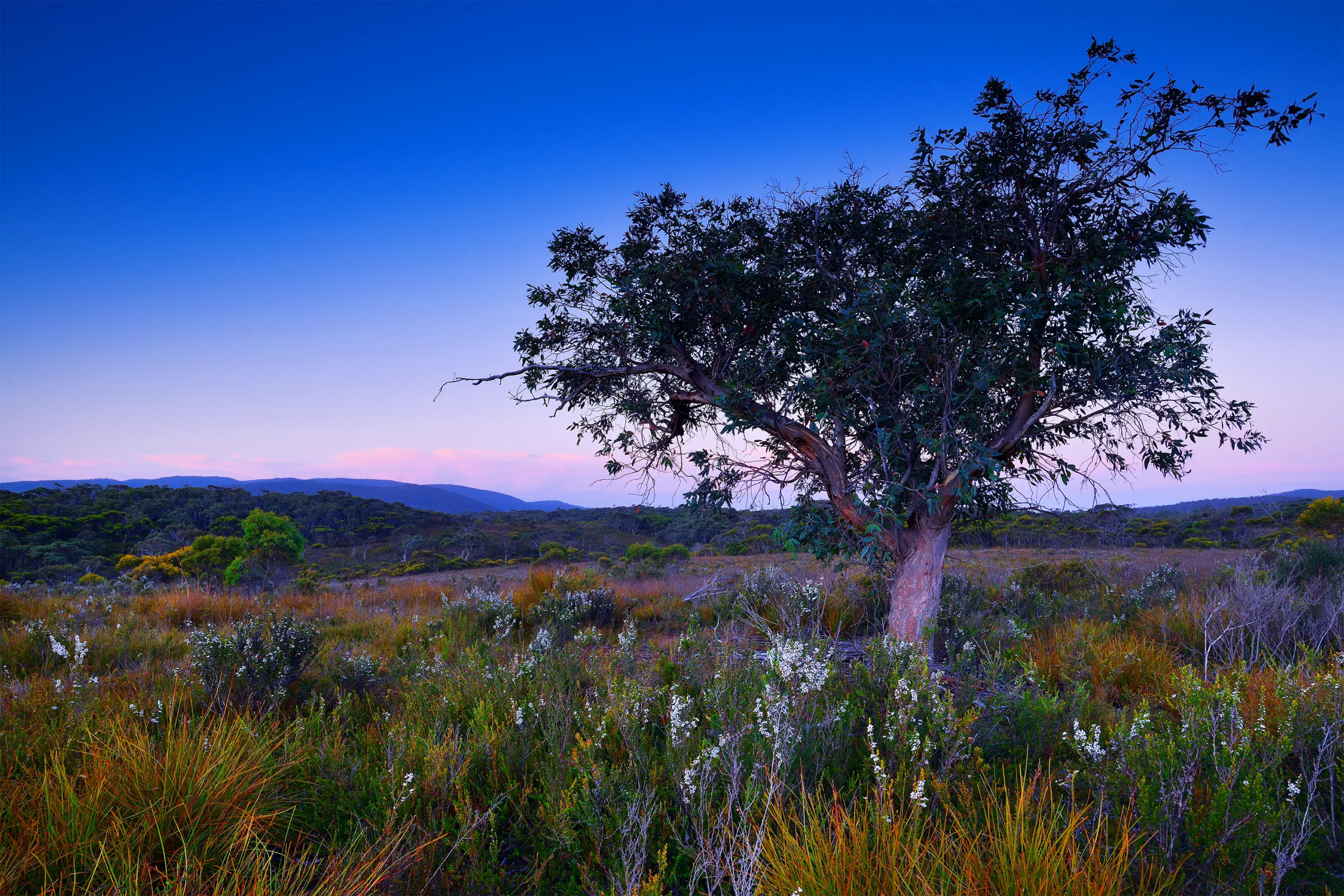Tasman Back Country